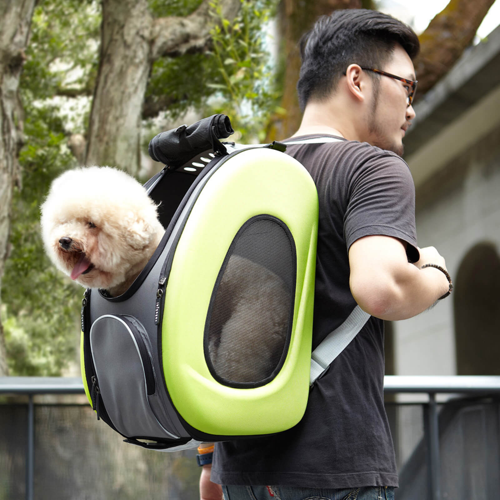 4-in-1 EVA Pet Carrier Backpack for Small Dogs and Cats