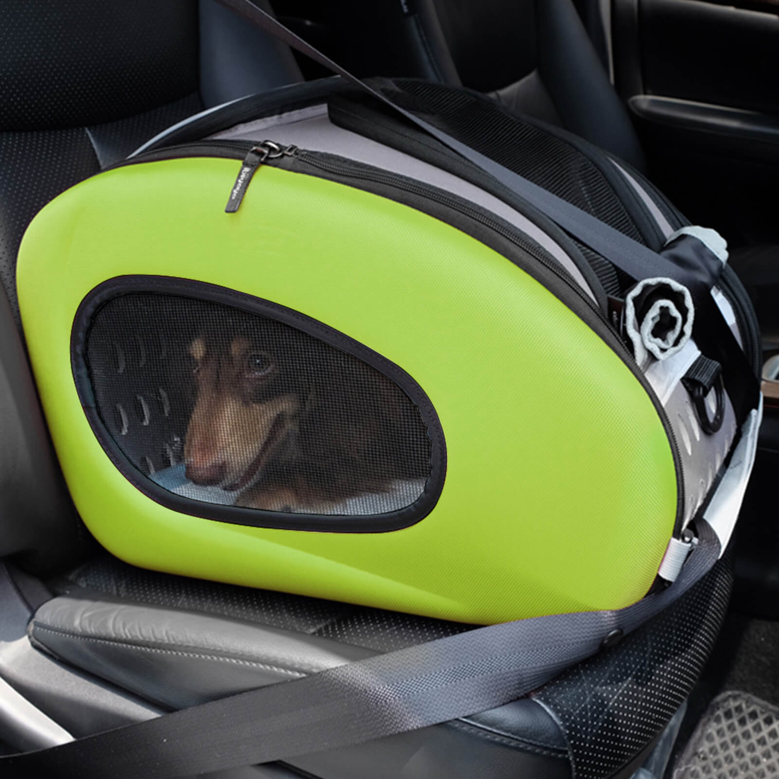 4-in-1 EVA Pet Carrier Backpack for Small Dogs and Cats