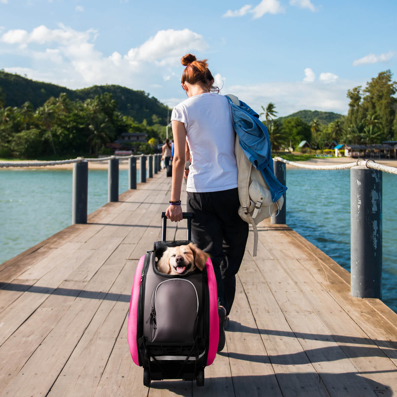 4-in-1 EVA Pet Carrier Backpack for Small Dogs and Cats