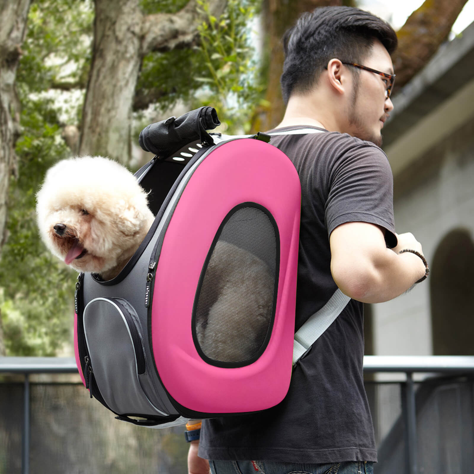 4-in-1 EVA Pet Carrier Backpack for Small Dogs and Cats