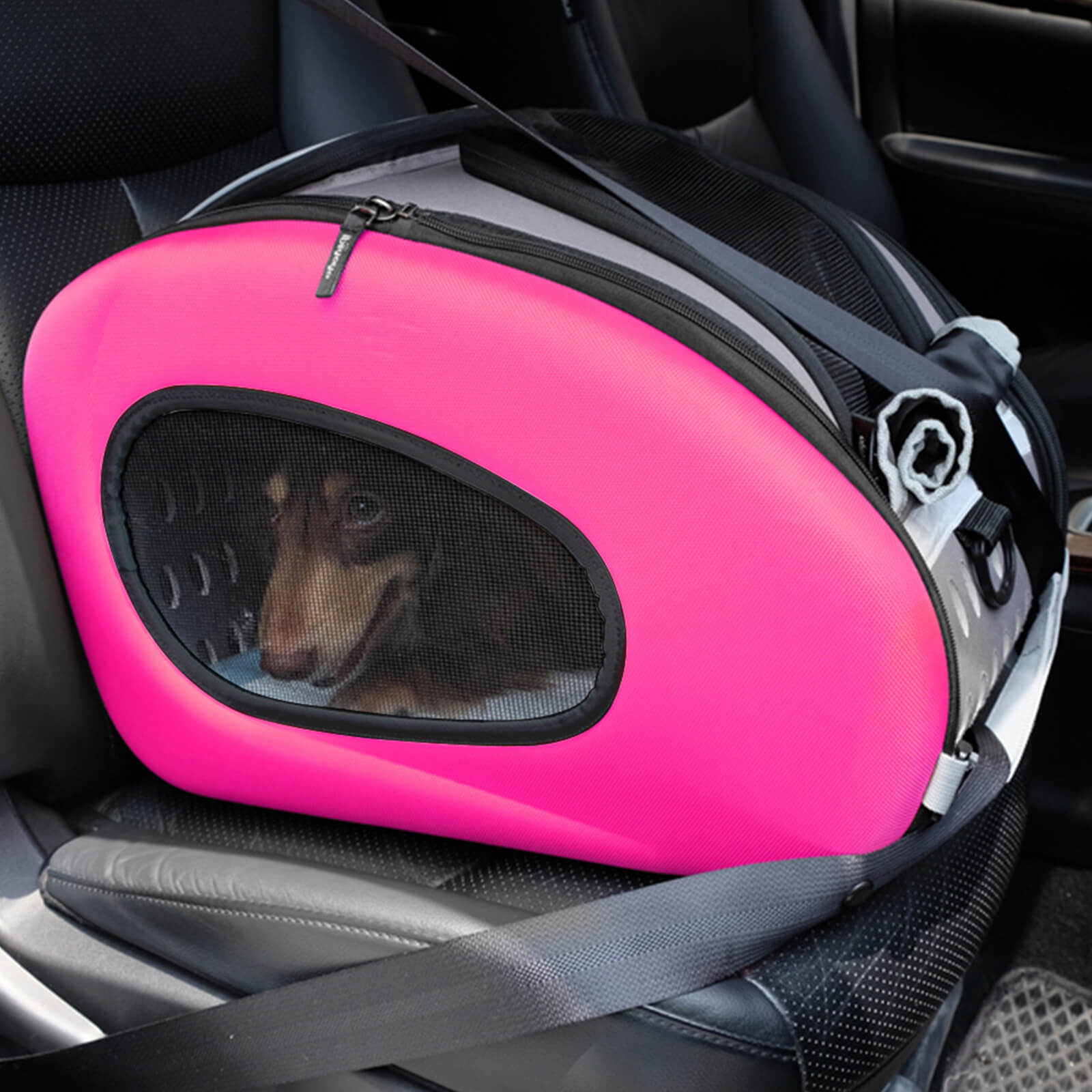 4-in-1 EVA Pet Carrier Backpack for Small Dogs and Cats