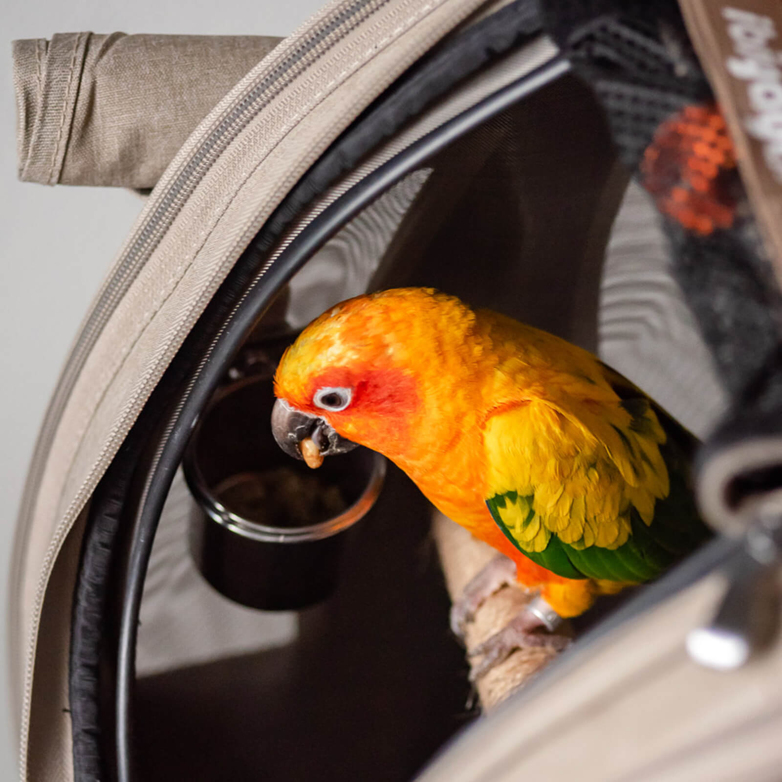 ibiyaya x BirdTricks TrackPack for Birds, Patented Small Bird Carrier Backpack with Perch