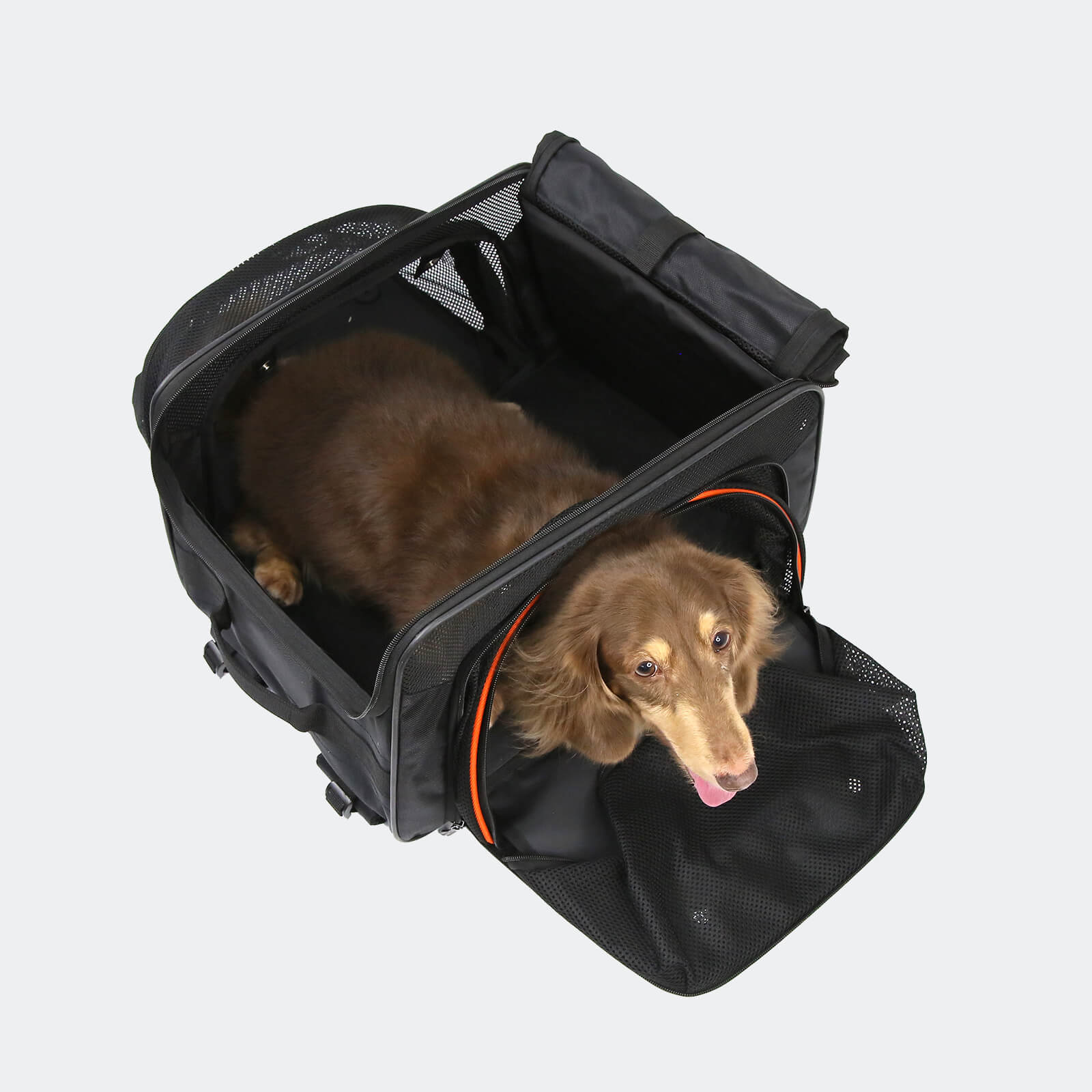 JetPaw Expandable In-Cabin Pet Carrier Backpack – Airline-Approved Travel Backpack for Dogs & Cats