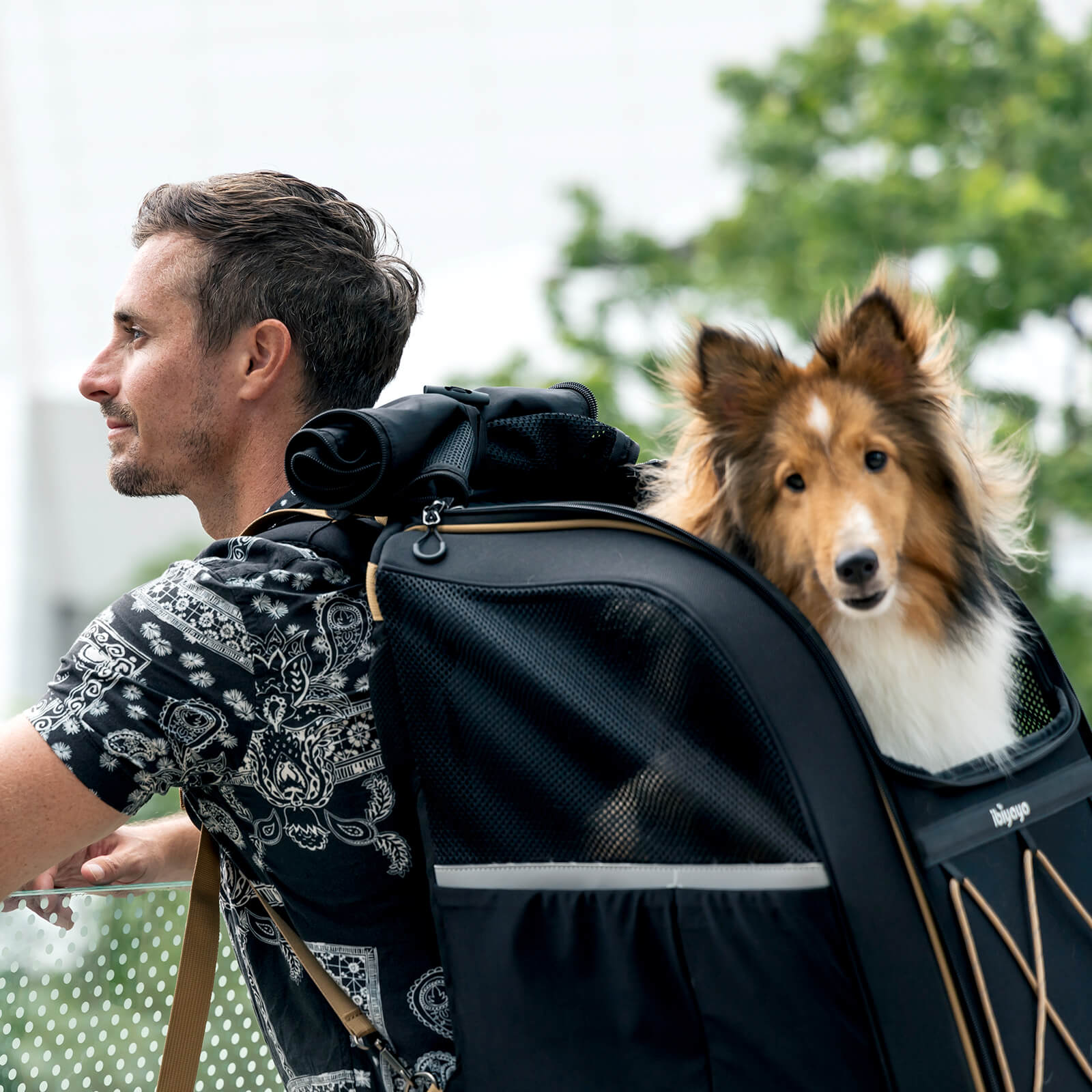 Champion Large Dog Carrier Backpack, with Optional Wheels