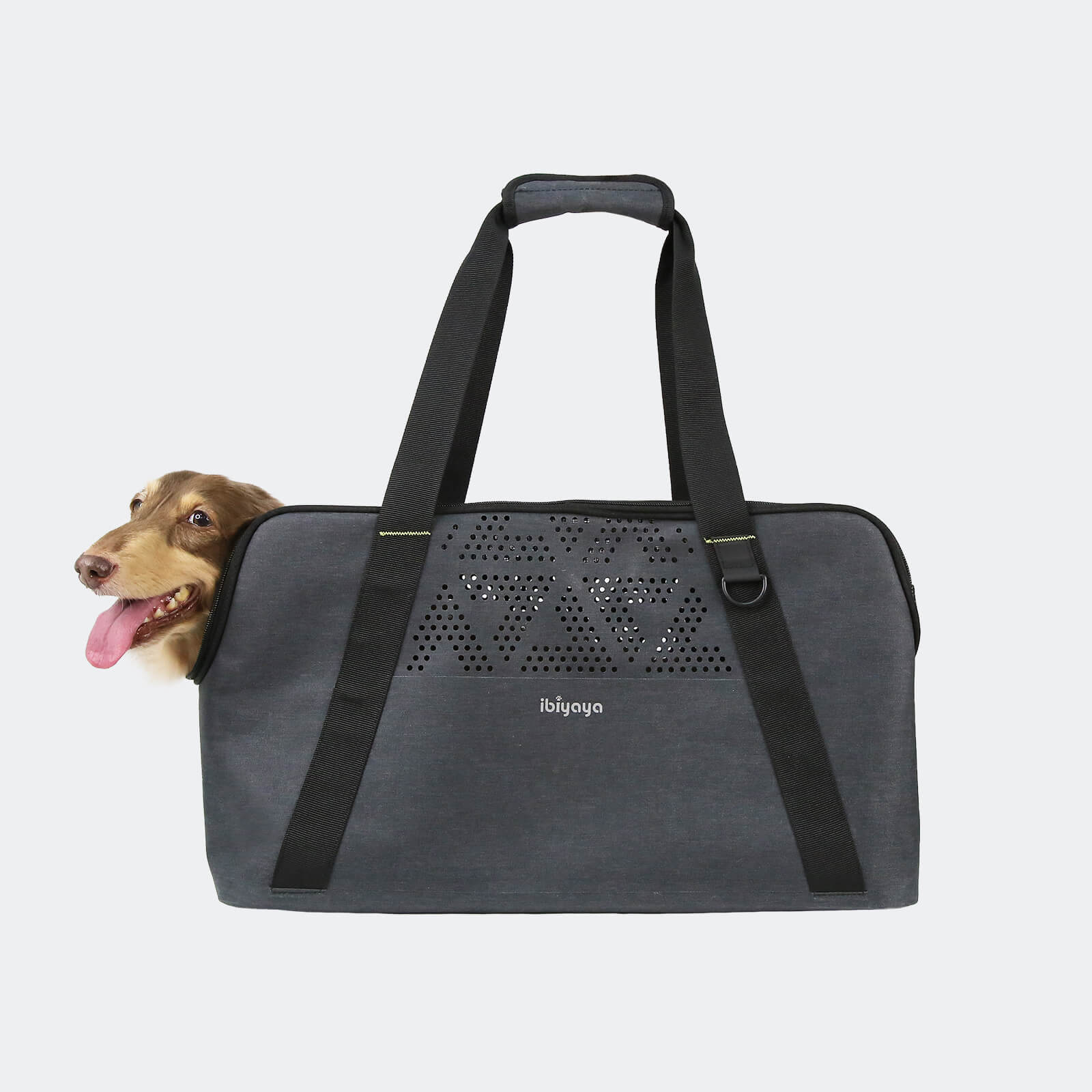 Dachshund Breezy Wanderer Fur-Free Pet Tote Bag