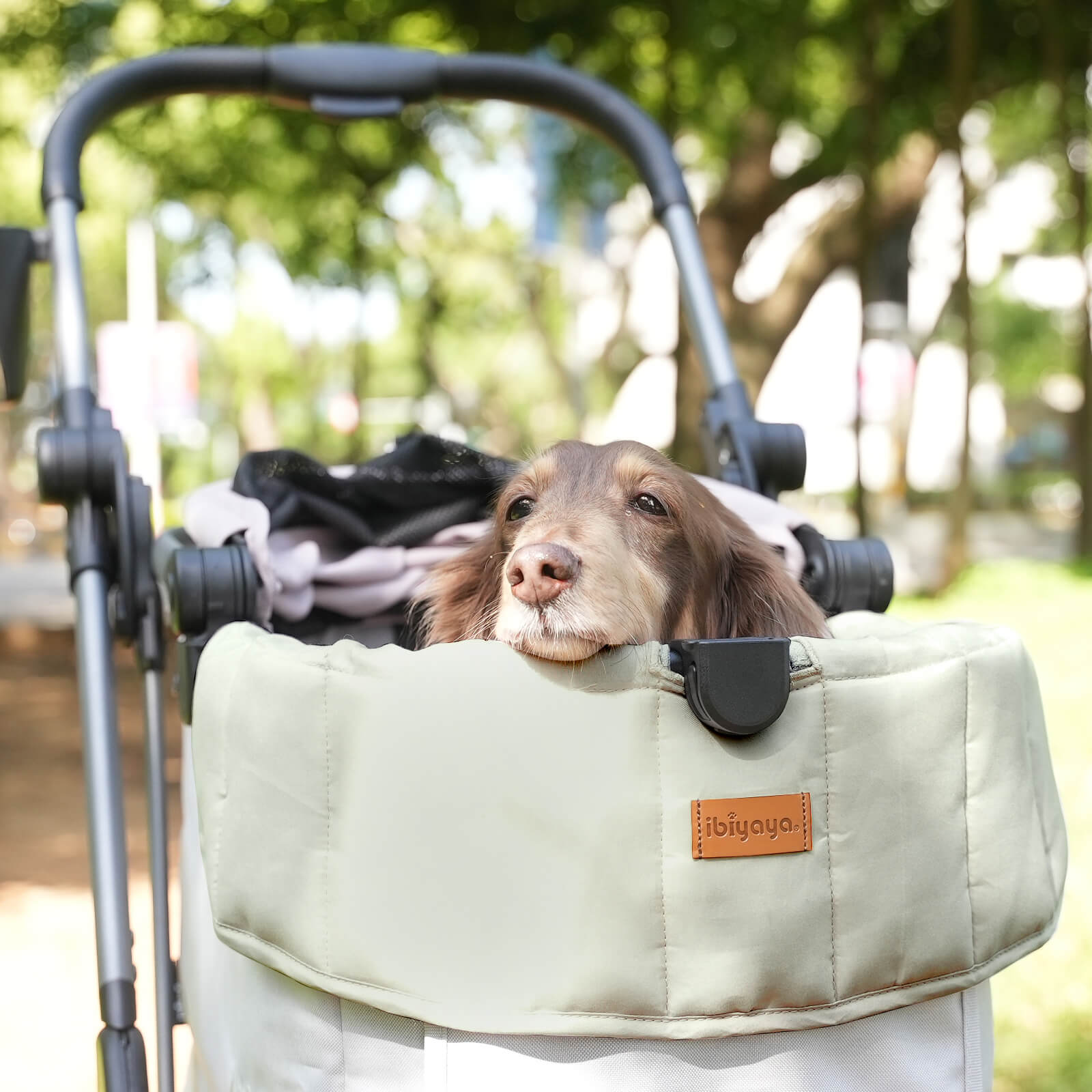 All-Season Pet Stroller Cushion Set - Medium