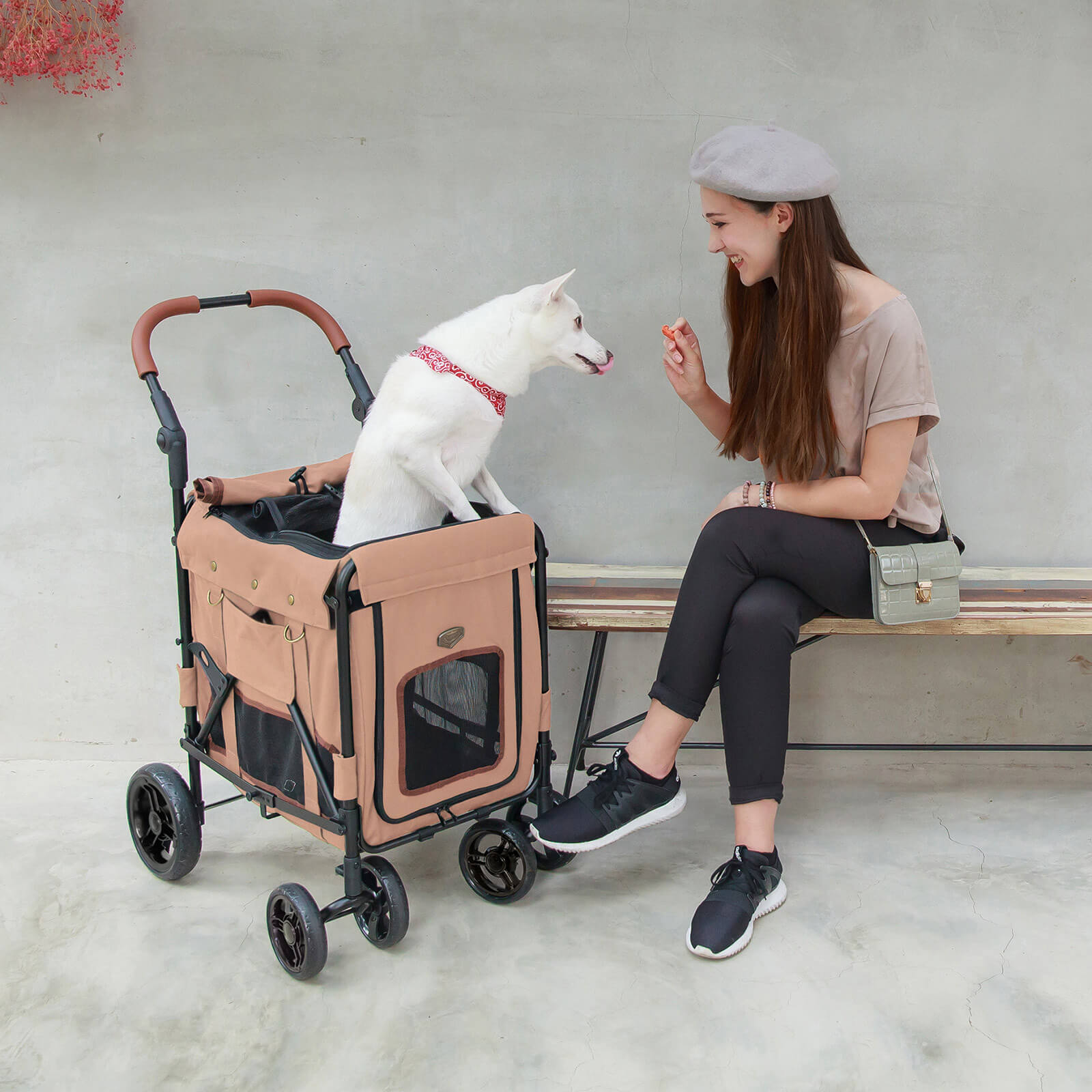 Gentle Giant Pet Wagon Stroller with Detachable Carrier
