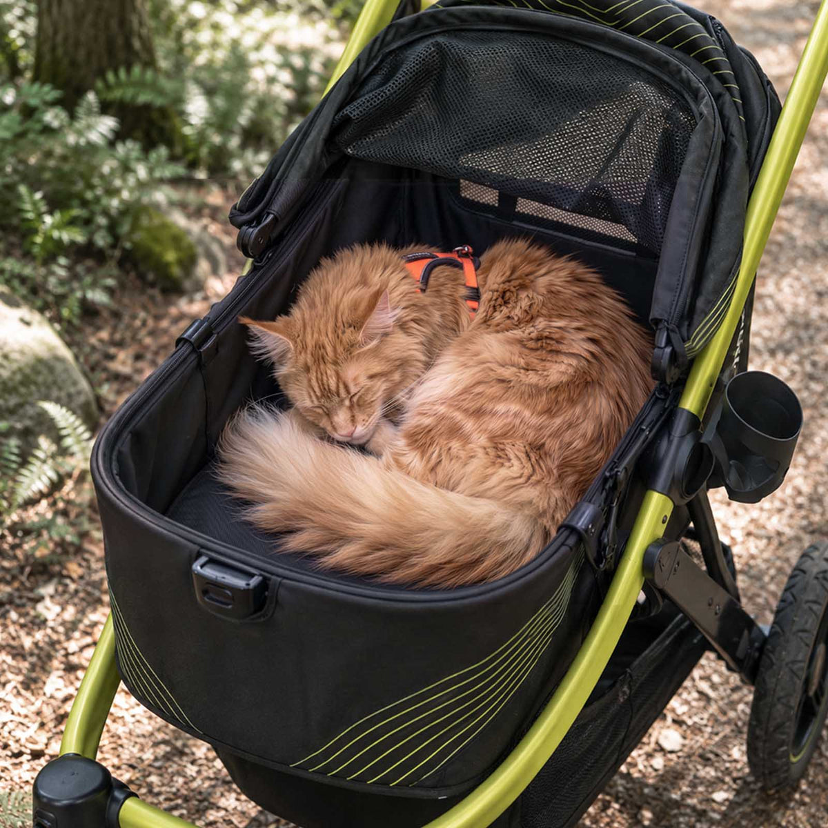 The Beast Pet Jogging Stroller, 3-Wheel All-Terrain Dog-Cat Pram