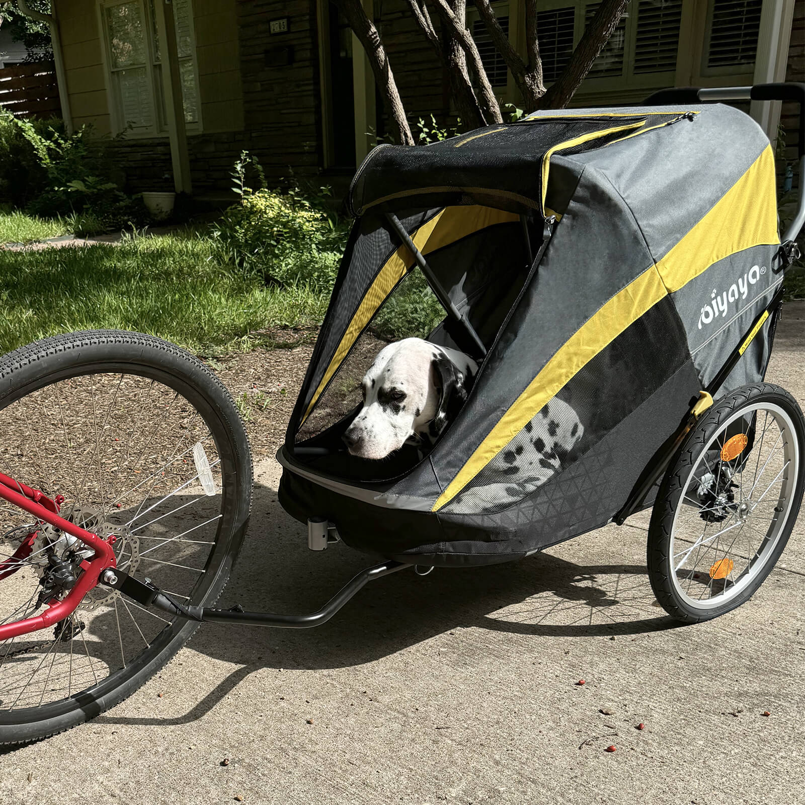 The Hercules Heavy-Duty Pro Pet Stroller-Bike Trailer, 3-Wheel Extra-Large Dog Stroller