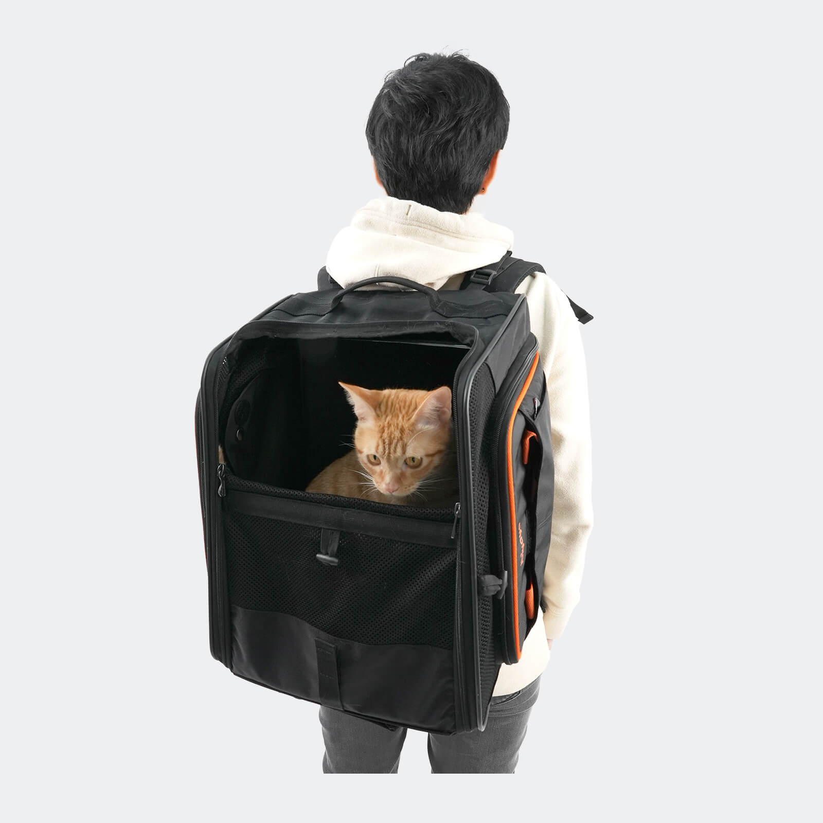 (Open-box item) JetPaw: 3-in-One Pet Stroller with Detachable Airline-Approved Carrier