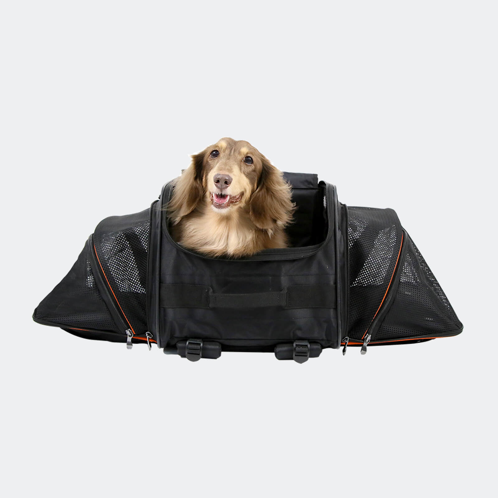 (Open-box item) JetPaw: 3-in-One Pet Stroller with Detachable Airline-Approved Carrier