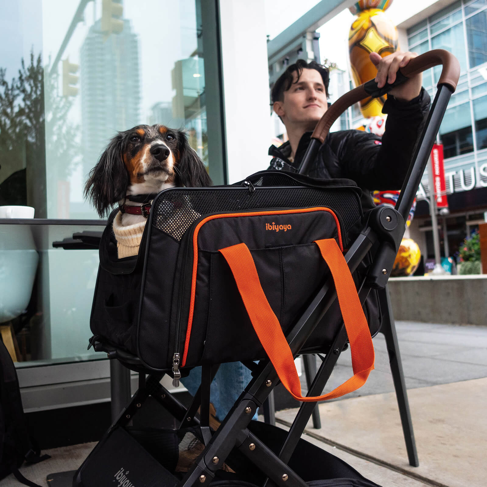 JetPaw: 3-in-One Pet Stroller with Detachable Airline-Approved Carrier