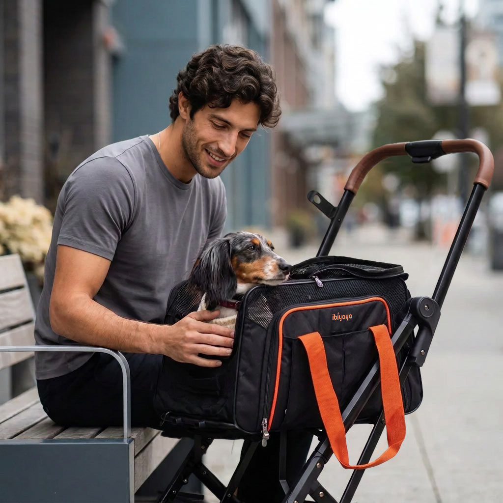 JetPaw: 3-in-One Pet Stroller with Detachable Airline-Approved Carrier