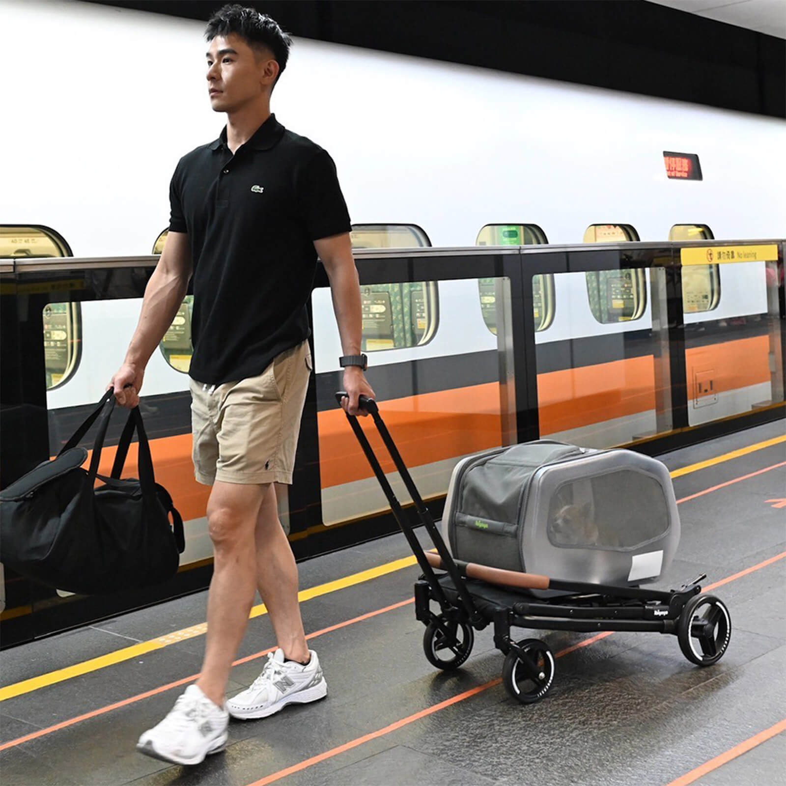 NeoRider Multi-purpose Detachable Pet Stroller