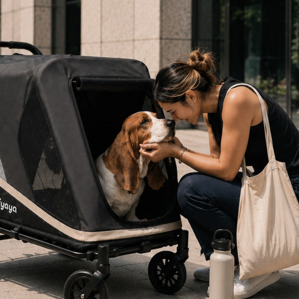 Woman petting a dog in a stroller on a city street