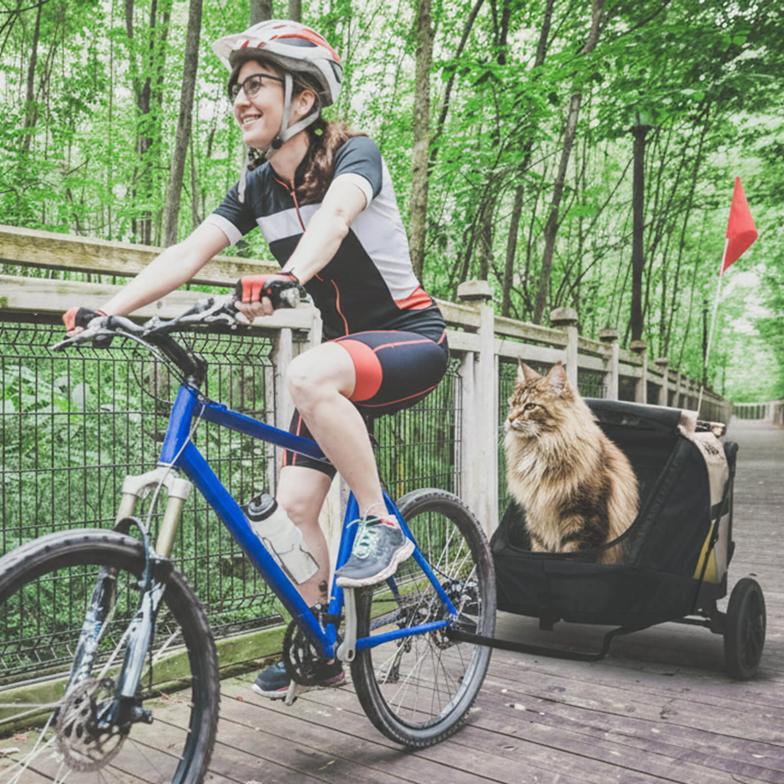 Minika 3-in-1 Pet Stroller System Foldable Dog Bicycle Trailer & Soft Crate KennelĀ