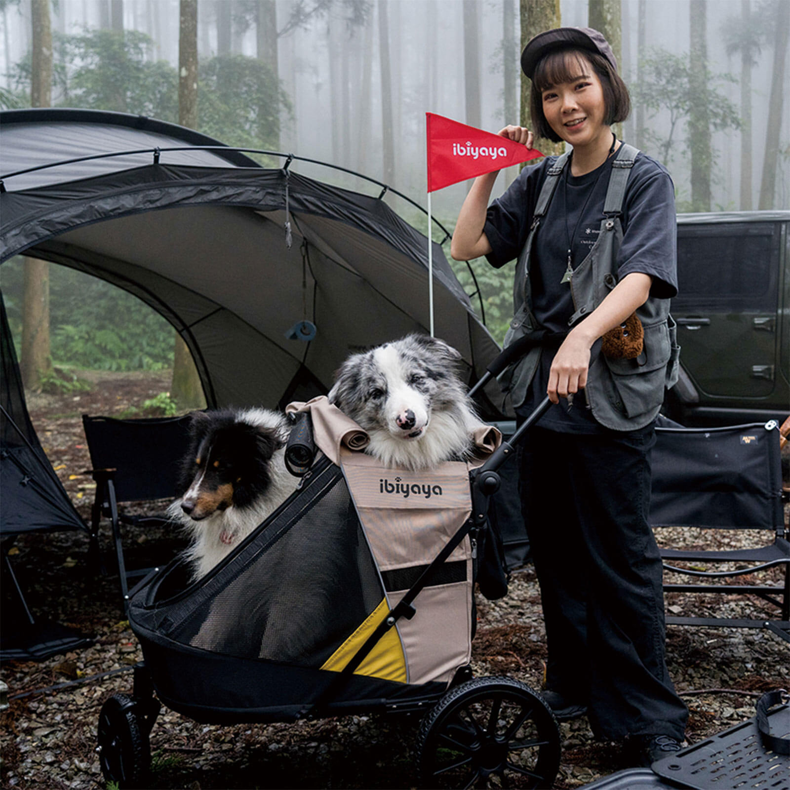 Minika 3-in-1 Pet Stroller System Foldable Dog Bicycle Trailer & Soft Crate Kennel