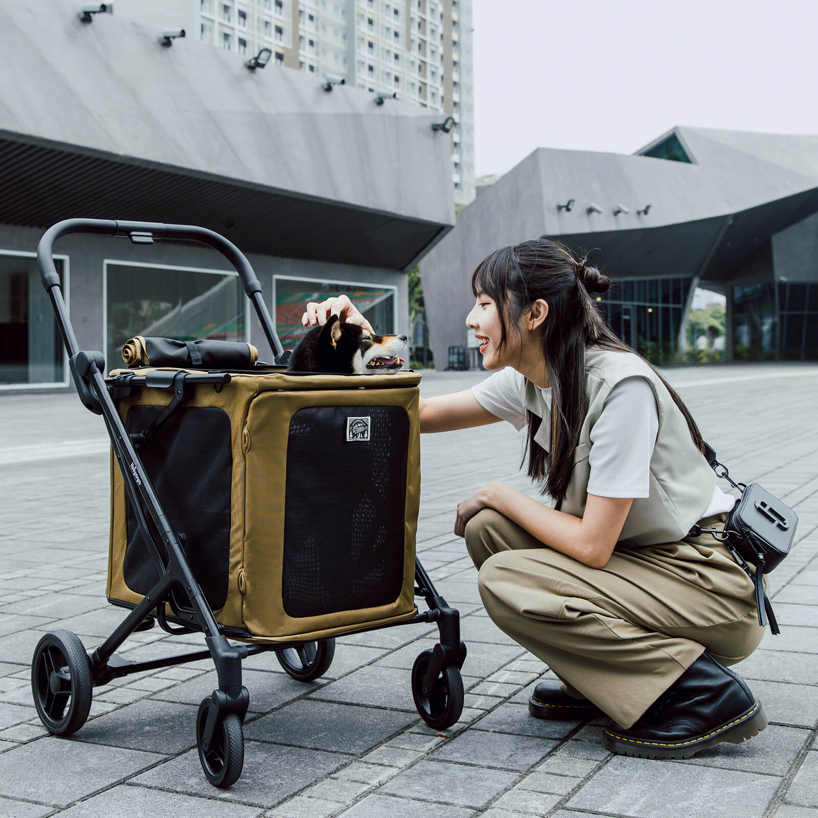 BigBuddy Pet Stroller and Soft Crate Combo, 2-in-1 Pet Wagon
