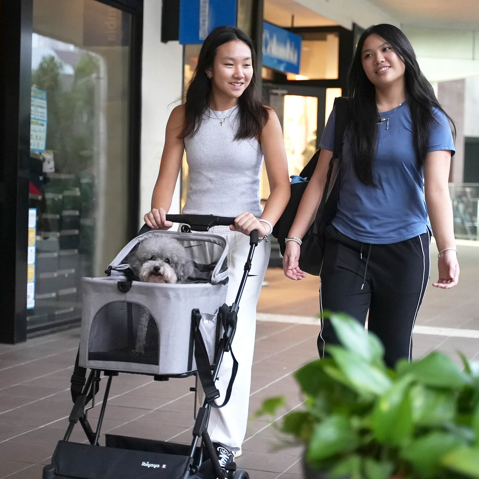 ibiyaya® Essential – Travois Tri-fold Pet Travel System XL, Pet Stroller with Detachable Carrier