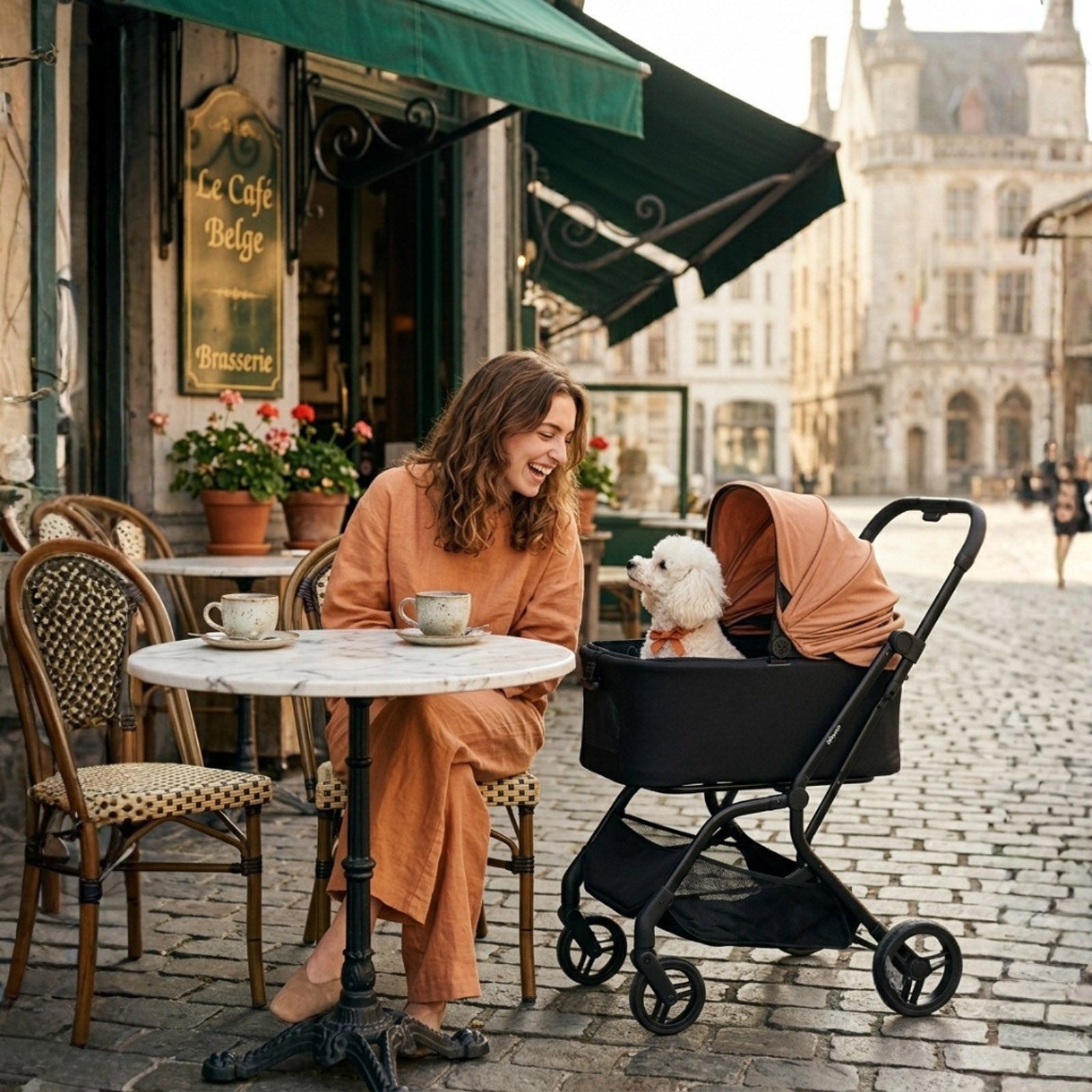 HUE-GO Detachable Pet Stroller & Capsule