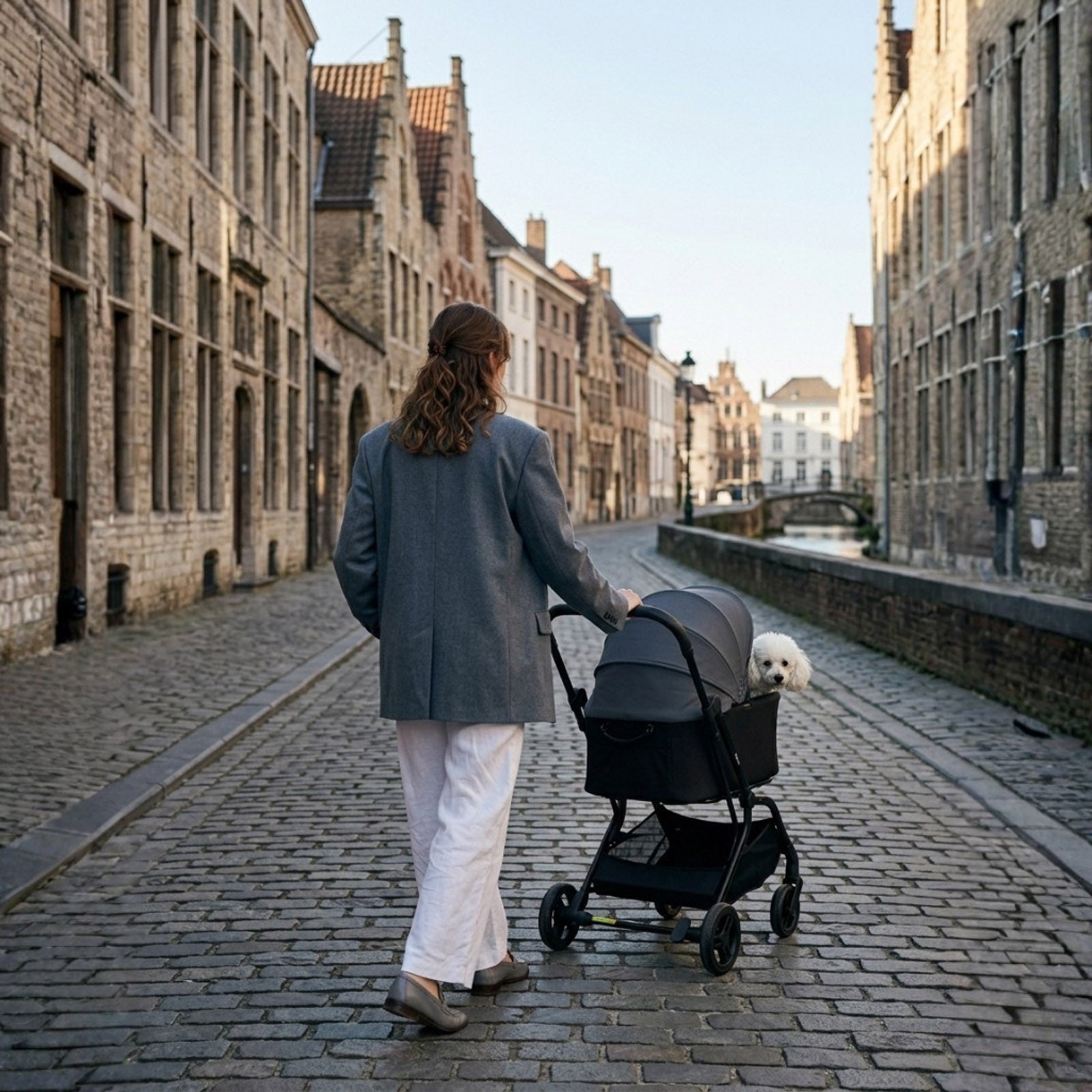HUE-GO Detachable Pet Stroller & Capsule