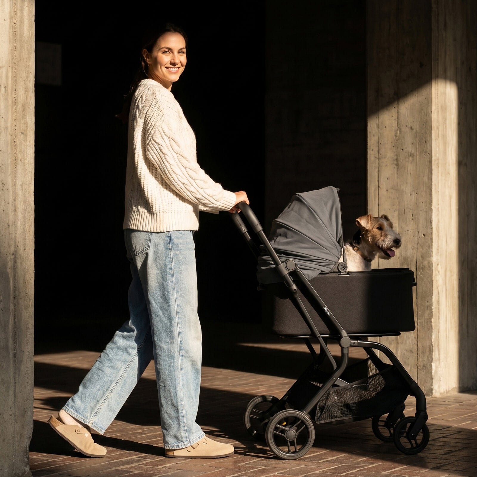 HUE-GO Detachable Pet Stroller & Capsule