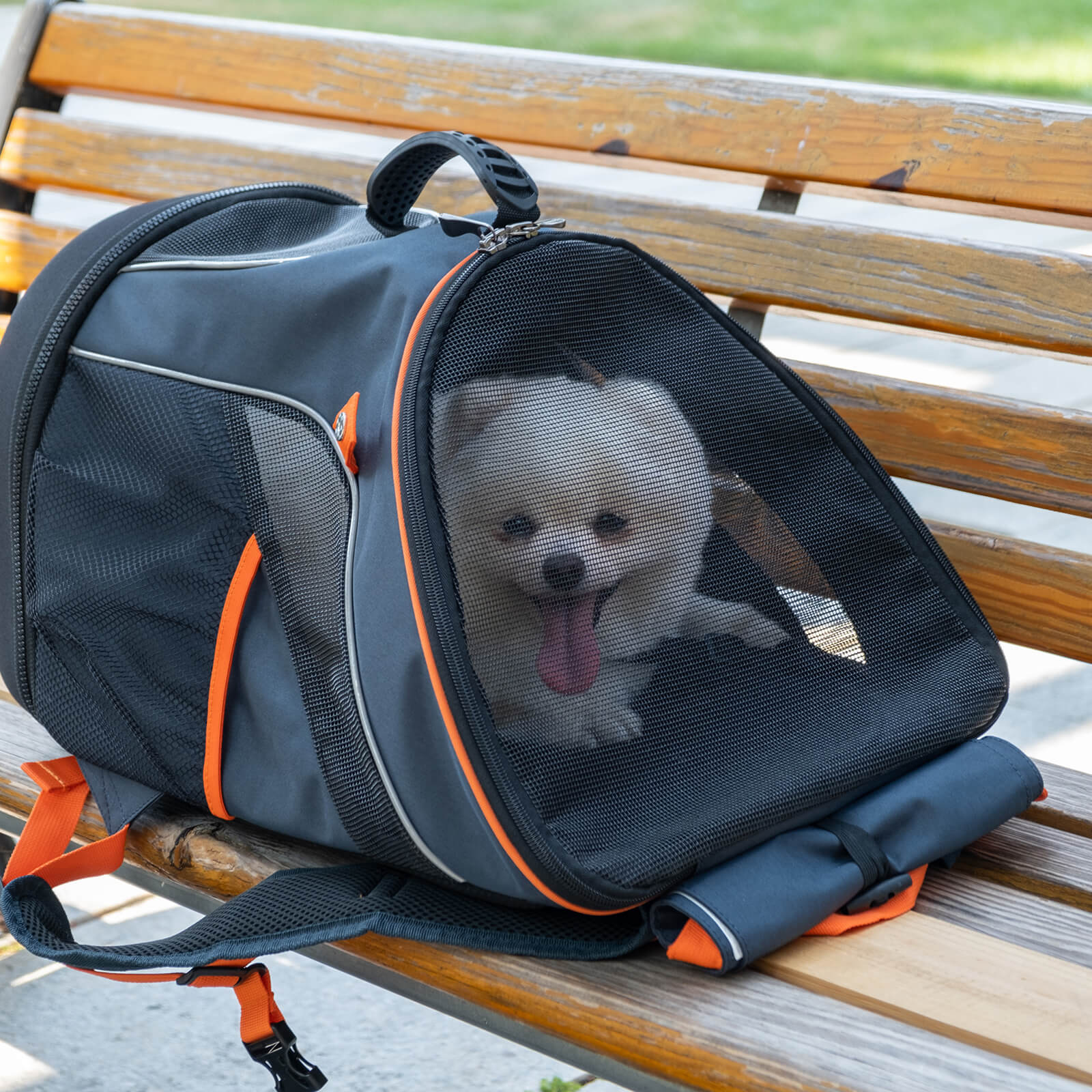 Ultralight Pro Pet Backpack Carrier, Front-Facing Cat-Dog Travel Bag