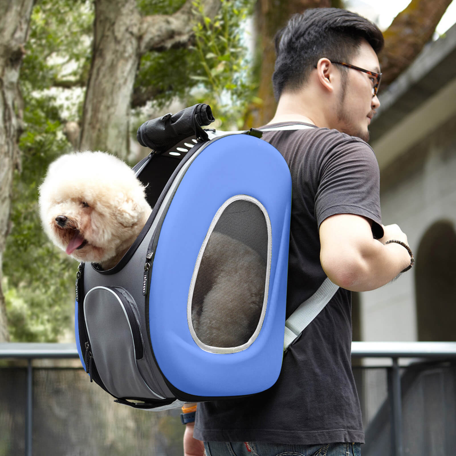4-in-1 EVA Pet Carrier Backpack for Small Dogs and Cats