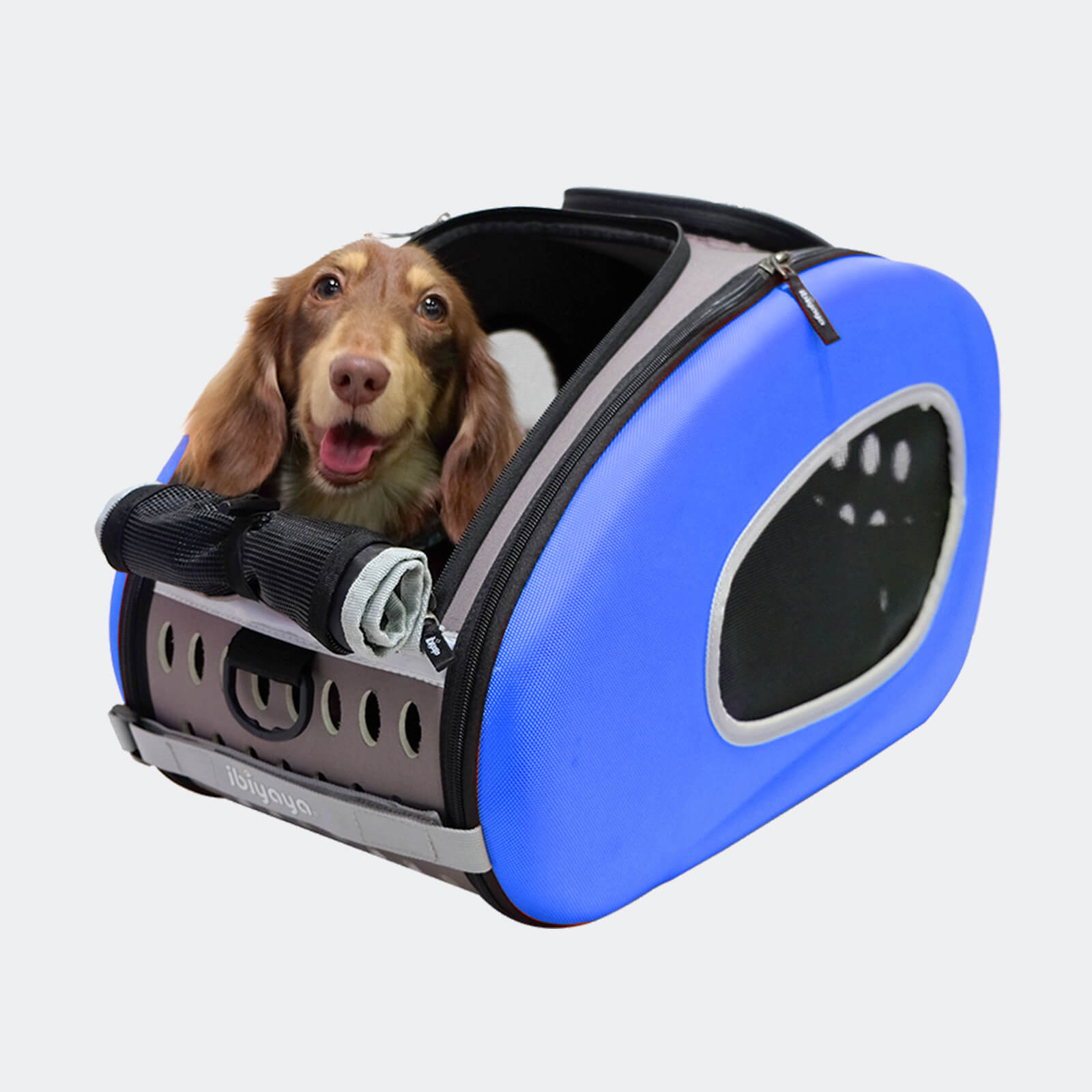 4-in-1 EVA Pet Carrier Backpack for Small Dogs and Cats