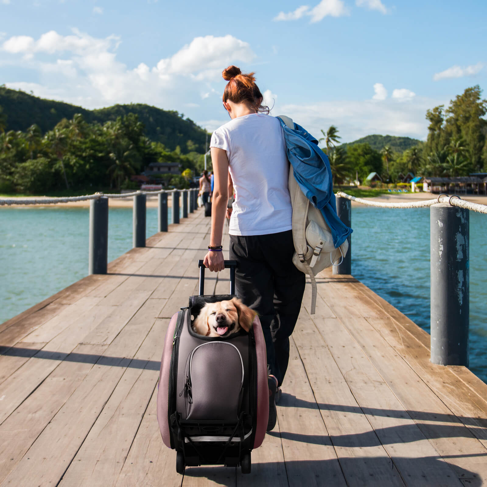 4-in-1 EVA Pet Carrier Backpack for Small Dogs and Cats