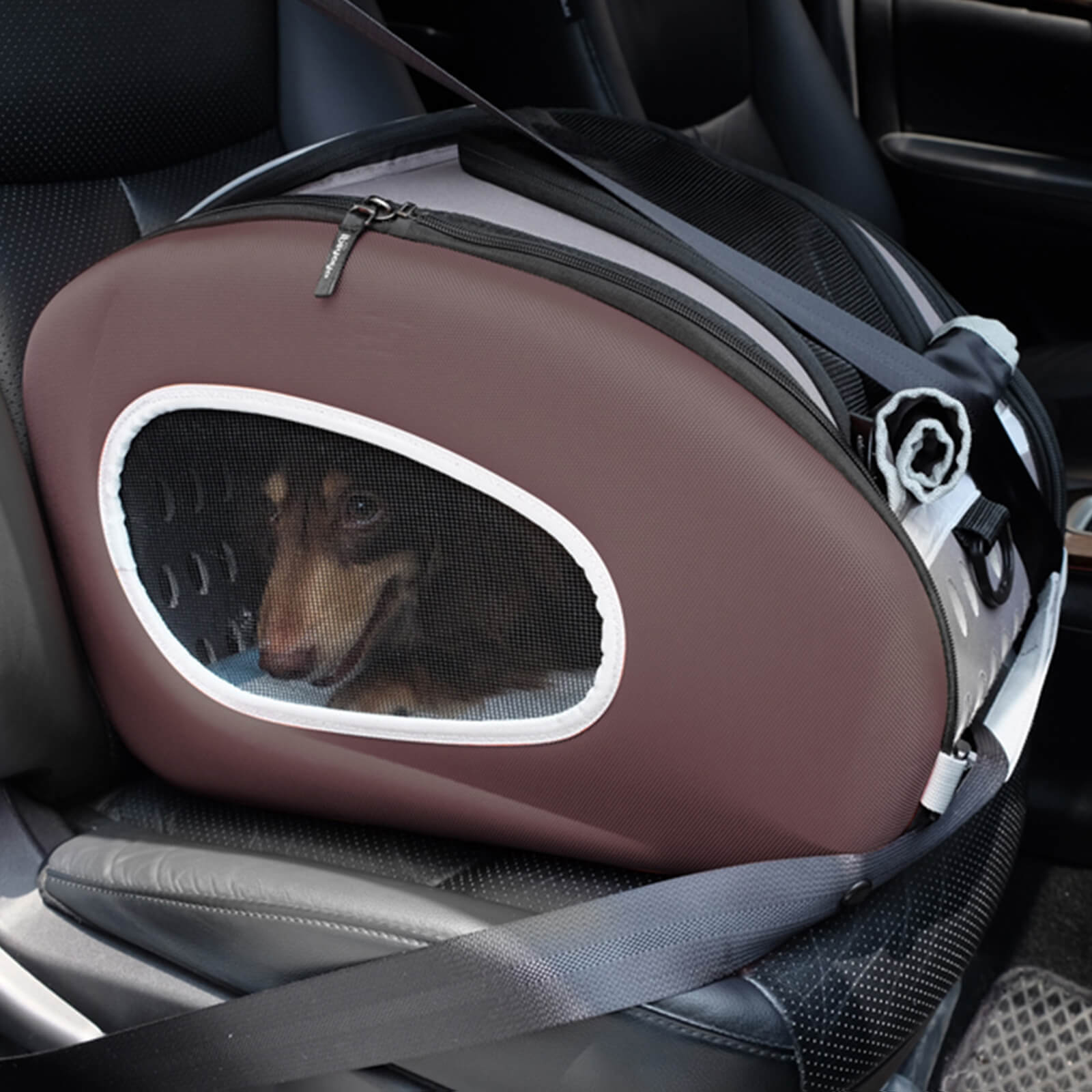 4-in-1 EVA Pet Carrier Backpack for Small Dogs and Cats