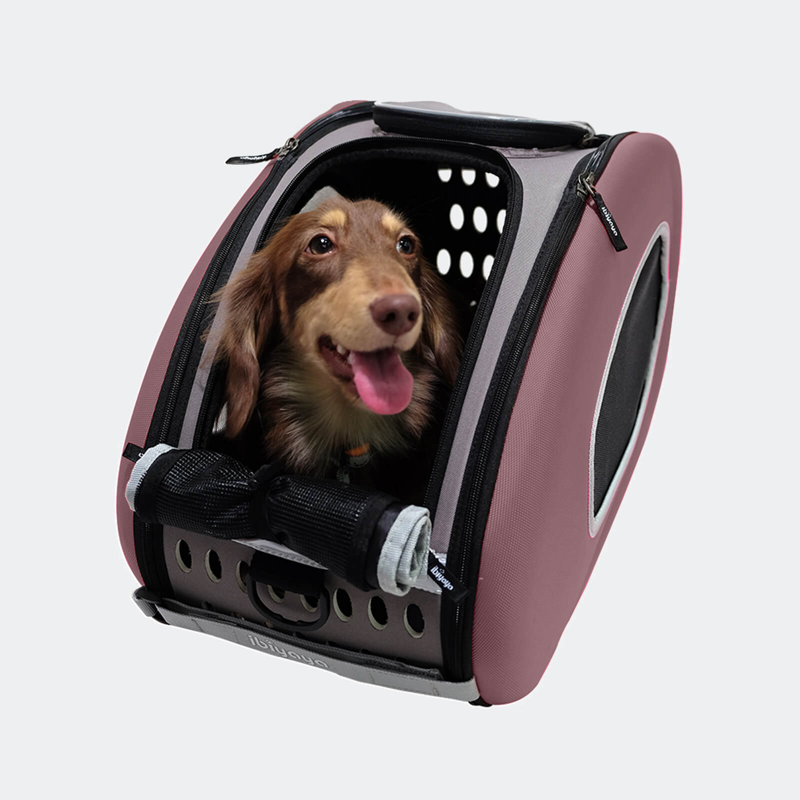 4-in-1 EVA Pet Carrier Backpack for Small Dogs and Cats