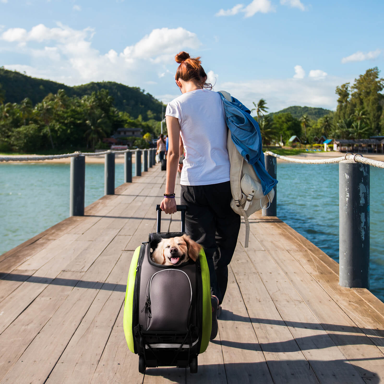 4-in-1 EVA Pet Carrier Backpack for Small Dogs and Cats