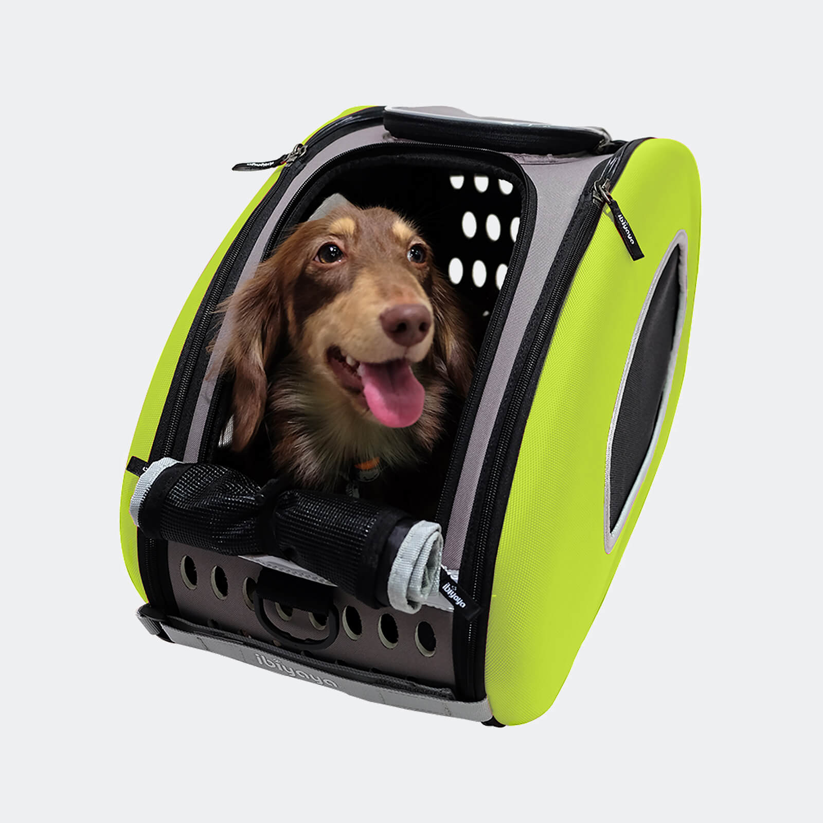 4-in-1 EVA Pet Carrier Backpack for Small Dogs and Cats