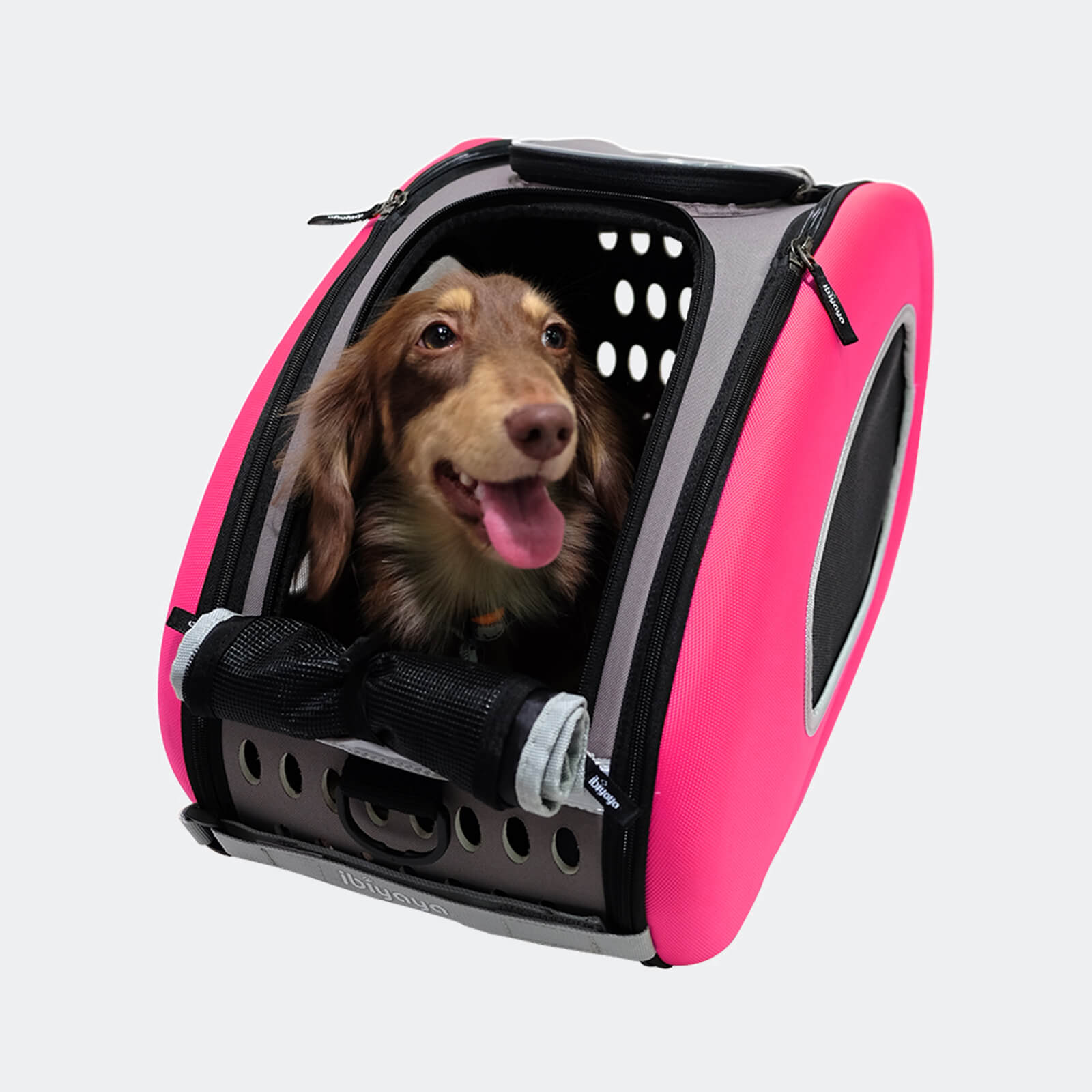 4-in-1 EVA Pet Carrier Backpack for Small Dogs and Cats