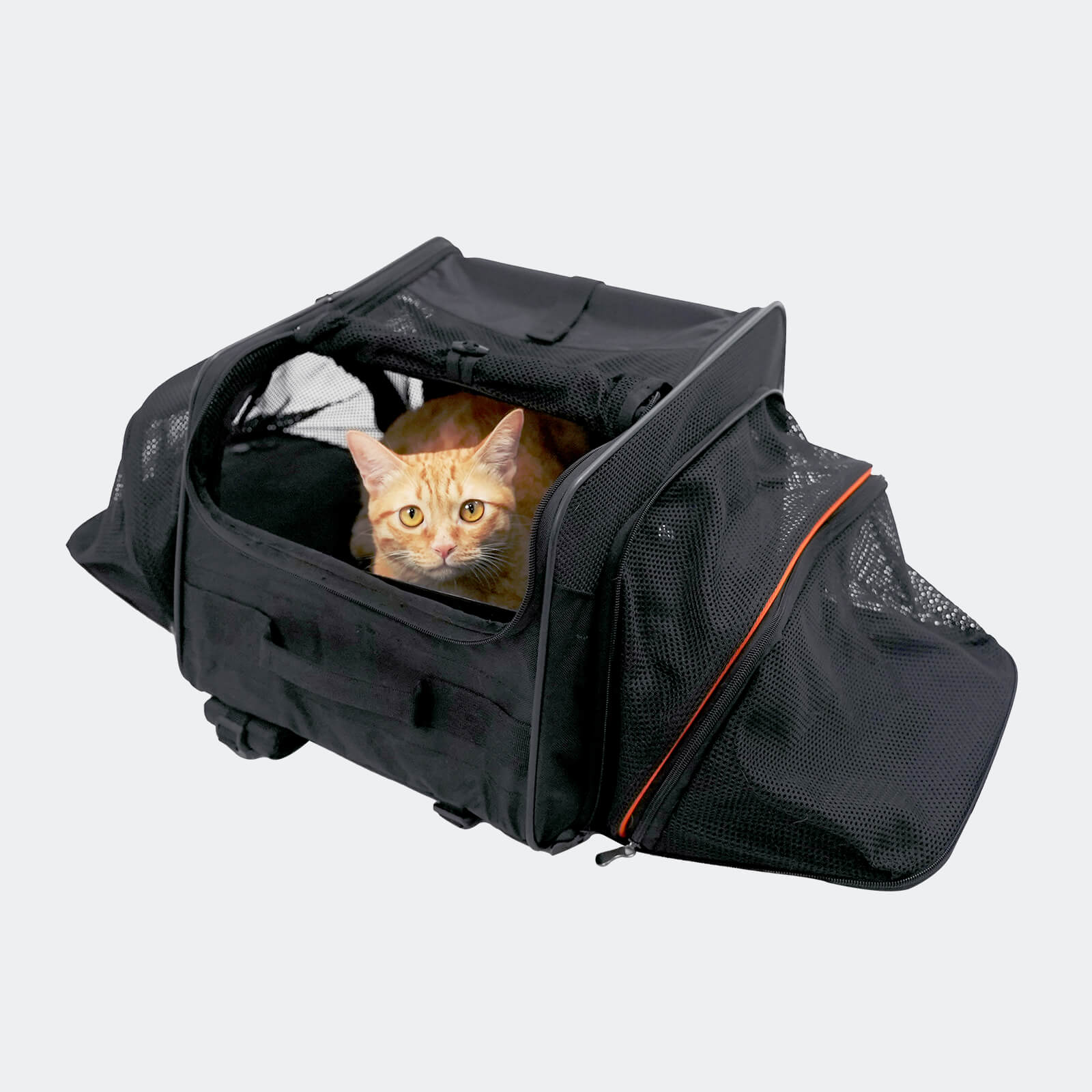 JetPaw Expandable Pet Carrier Backpack – Airline Approved