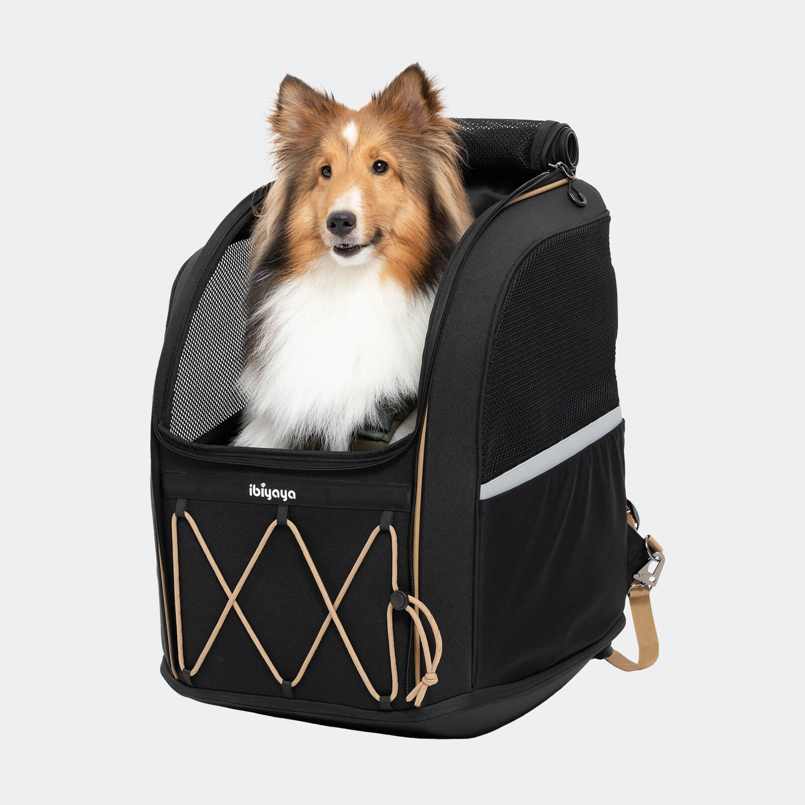 Champion Large Dog Carrier Backpack, with Optional Wheels