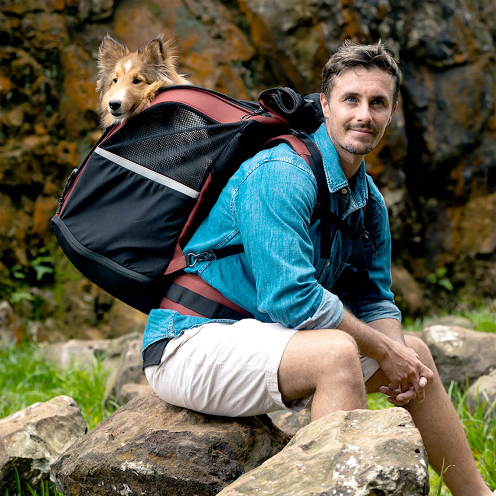 Champion Large Dog Carrier Backpack, with Optional Wheels