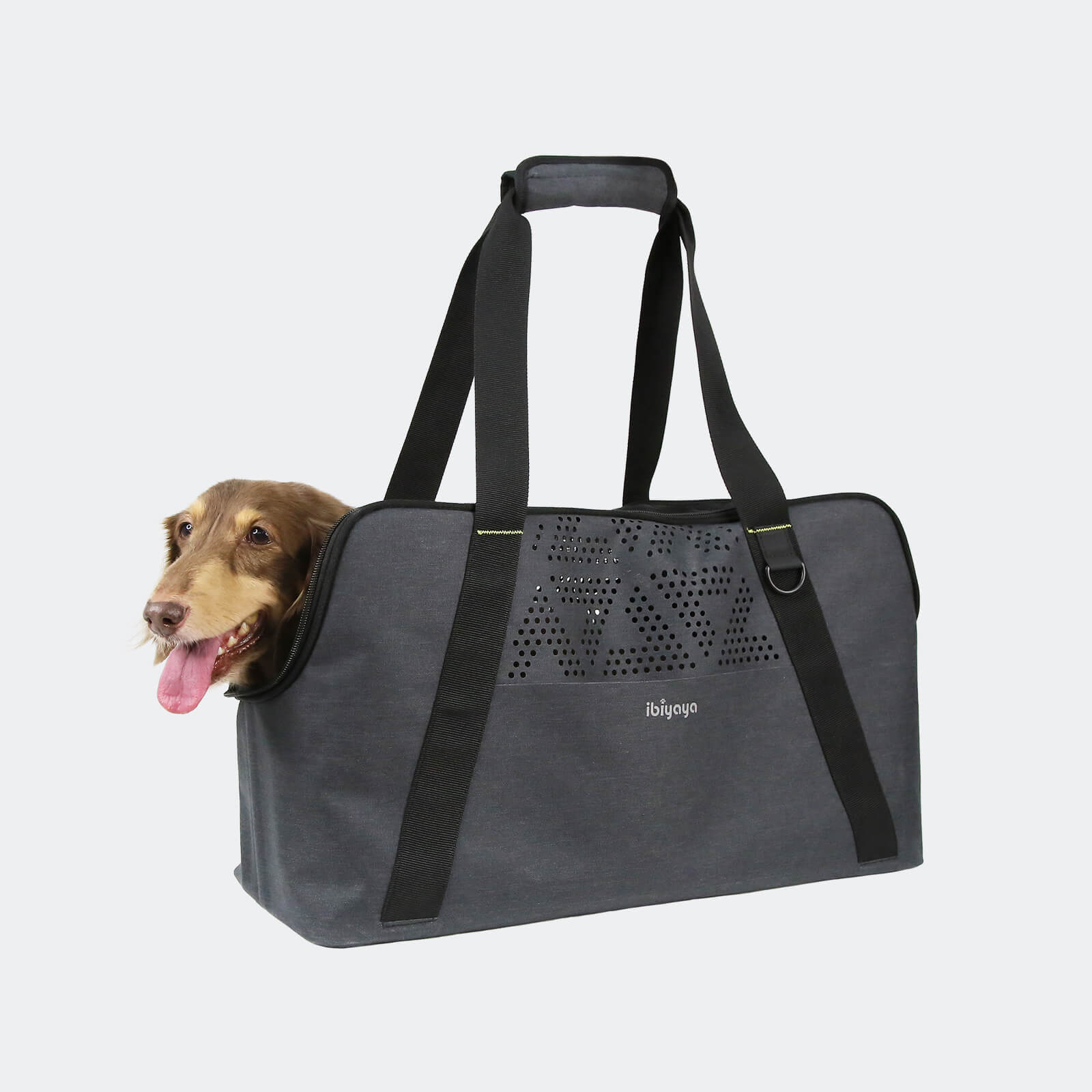 Dachshund Breezy Wanderer Fur-Free Pet Tote Bag
