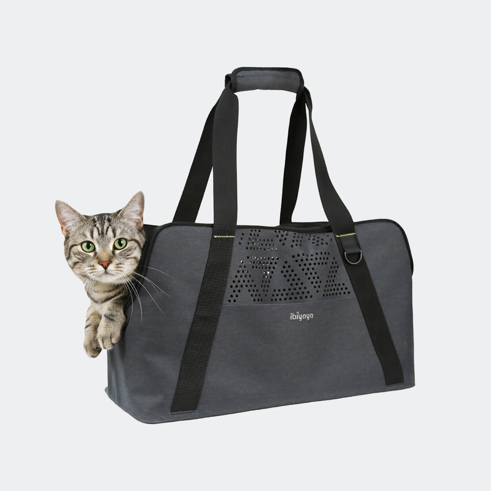 Dachshund Breezy Wanderer Pet Tote Bag – Lightweight Long Body Dog