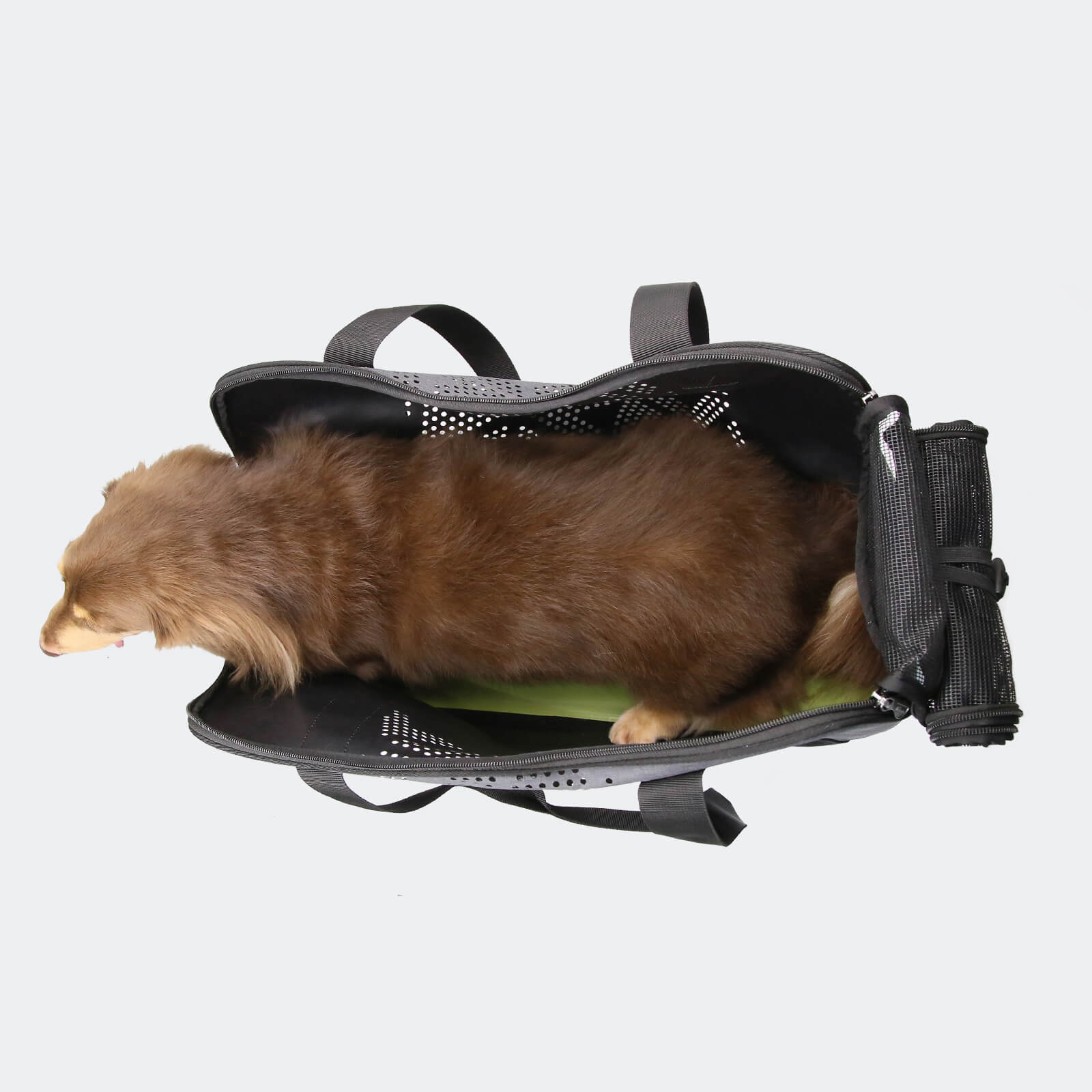 Dachshund Breezy Wanderer Pet Tote Bag – Lightweight Long Body Dog