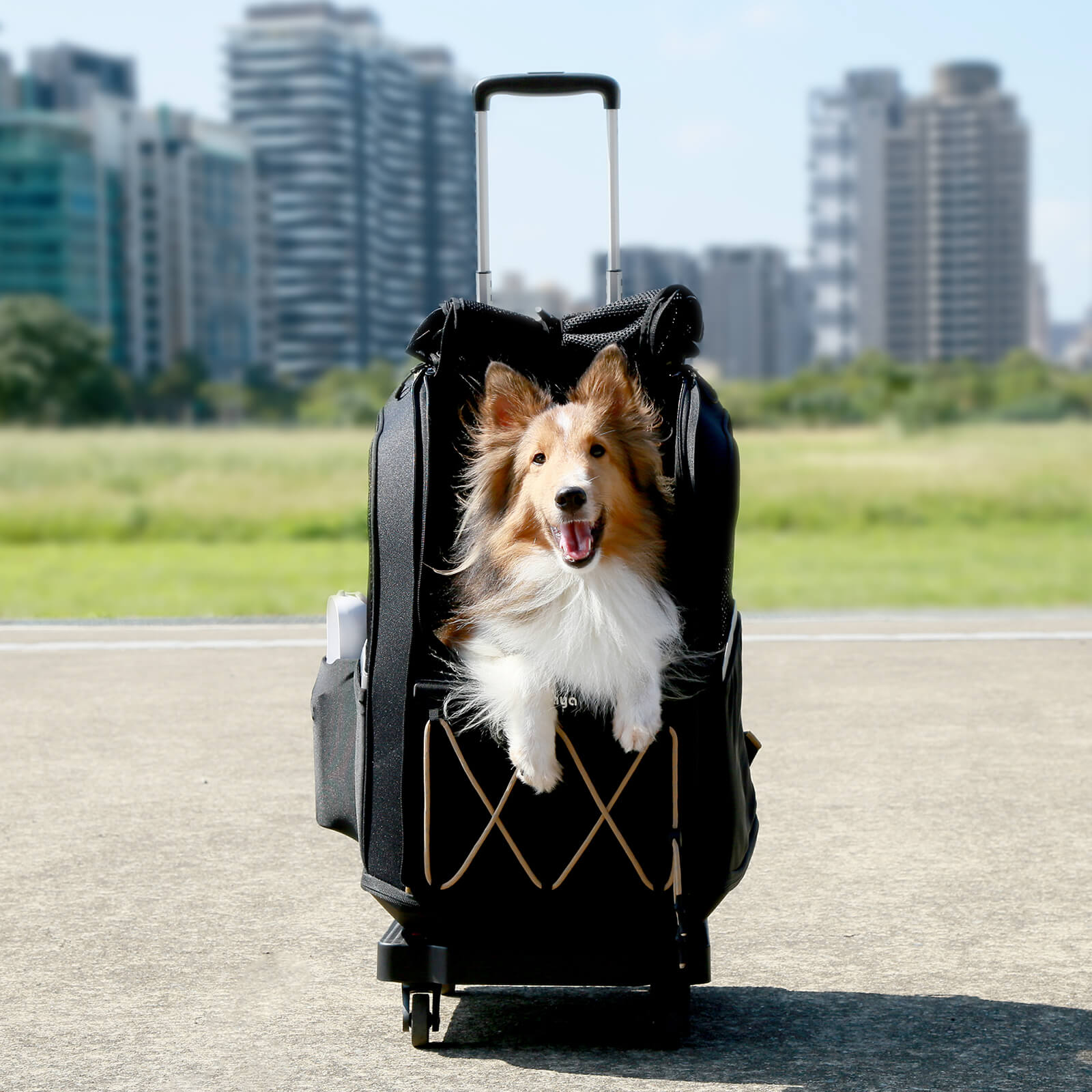 ペットカート ayu-ayu Folding Cart Trolley for Pet Strollers | ibiyaya
