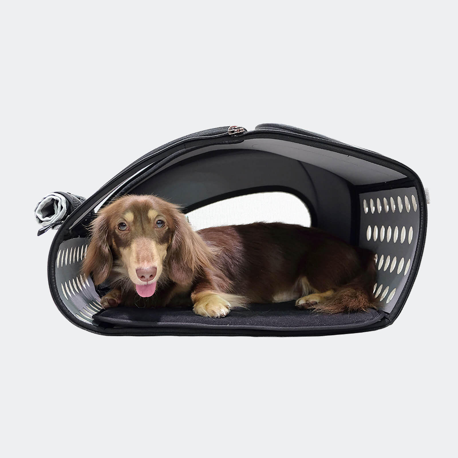 ibiyaya 5 in 1 Pet Carrier Stroller Backpack Classic Multi