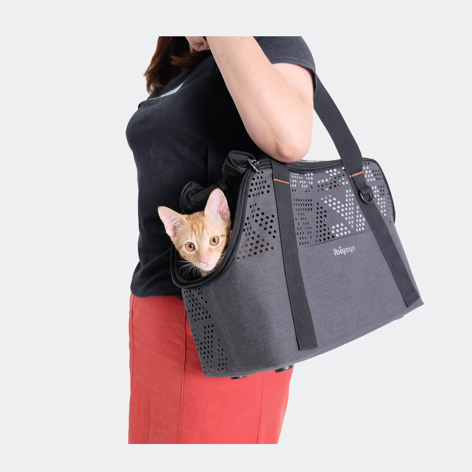 Breezy Wanderer Fur Free Pet Tote Bag – Ultra Light Hair Resistant