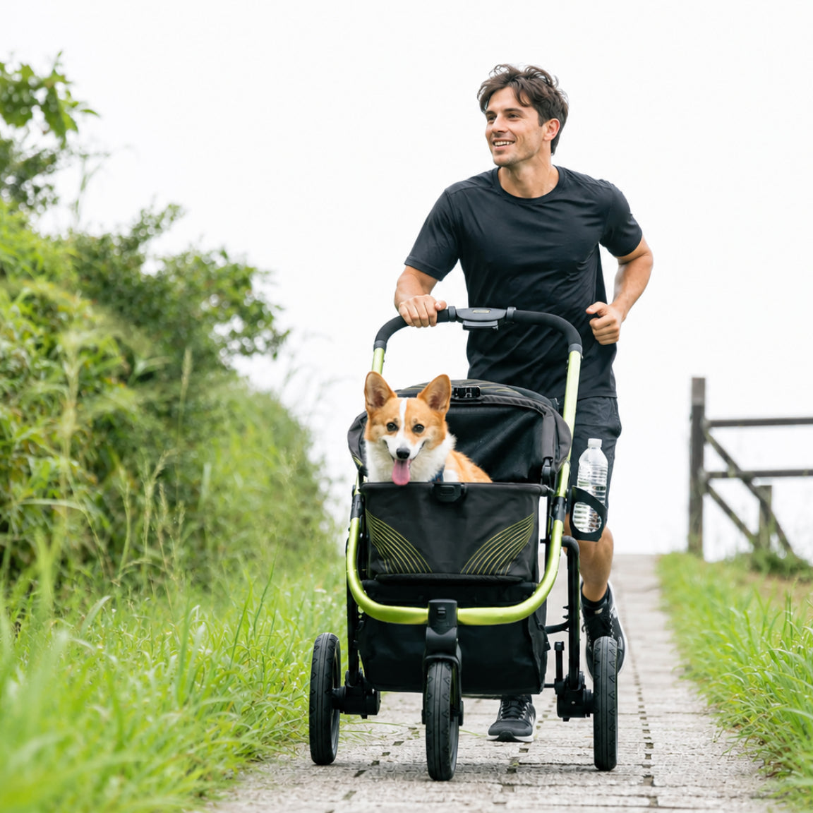 The Beast All-Terrain Dog Jogging Stroller | ibiyaya