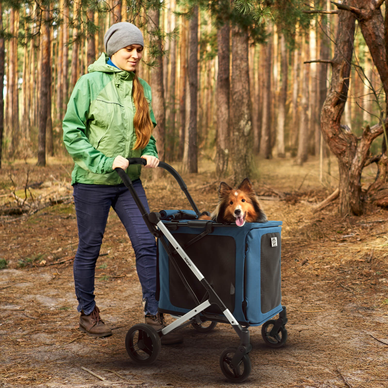 BigBuddy Pet Stroller and Soft Crate Combo, 2-in-1 Pet Wagon