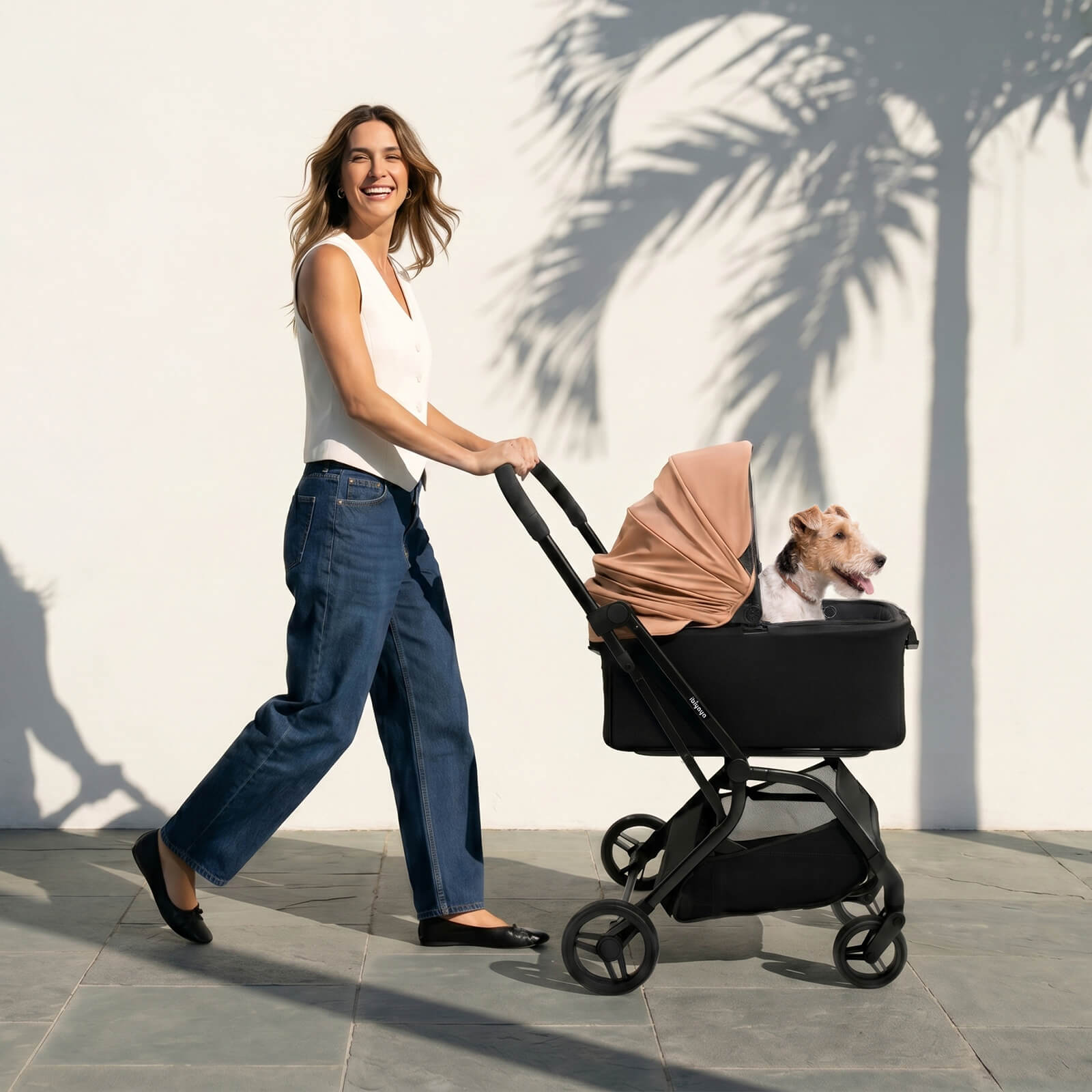 HUE-GO Detachable Pet Stroller & Capsule