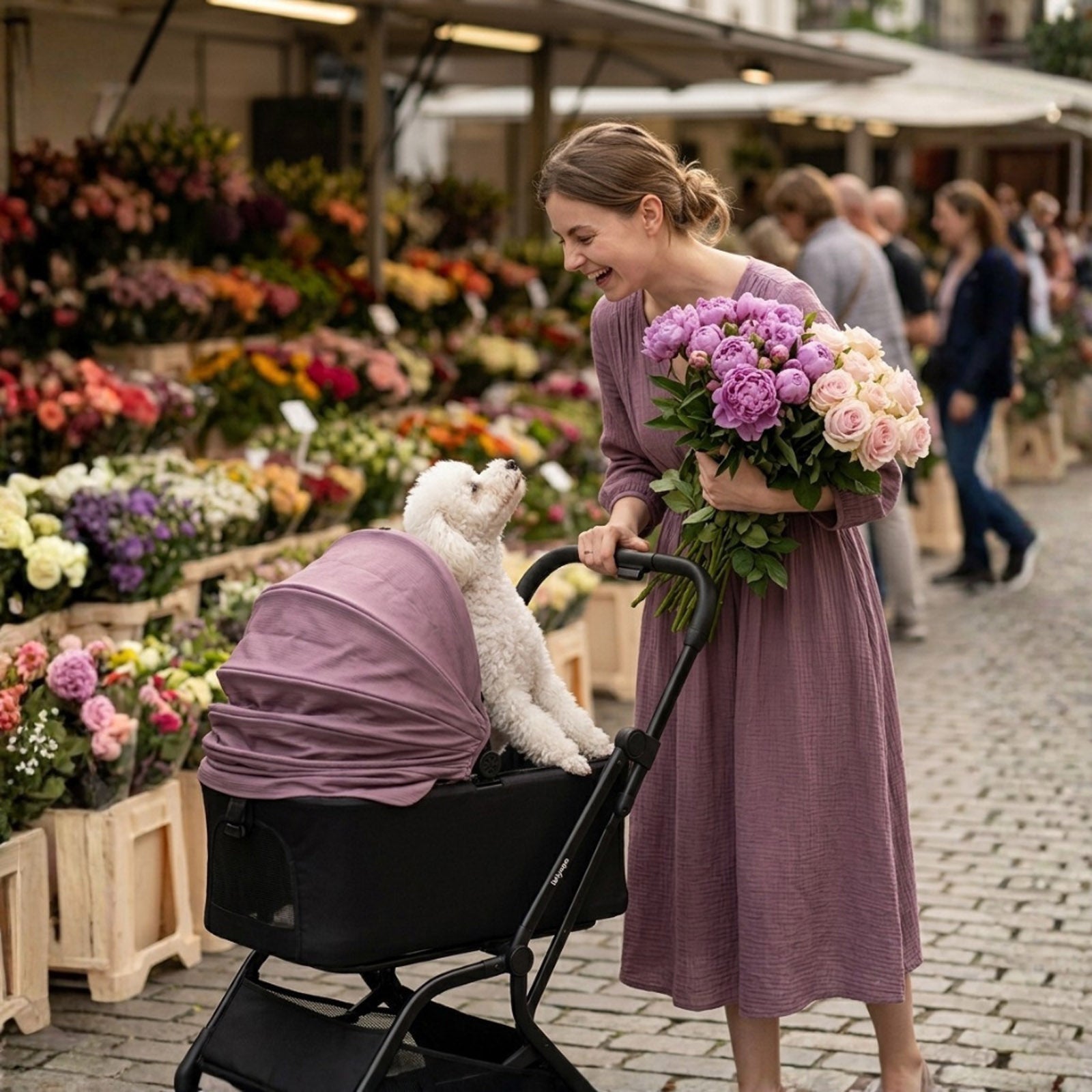 HUE-GO Detachable Pet Stroller & Capsule