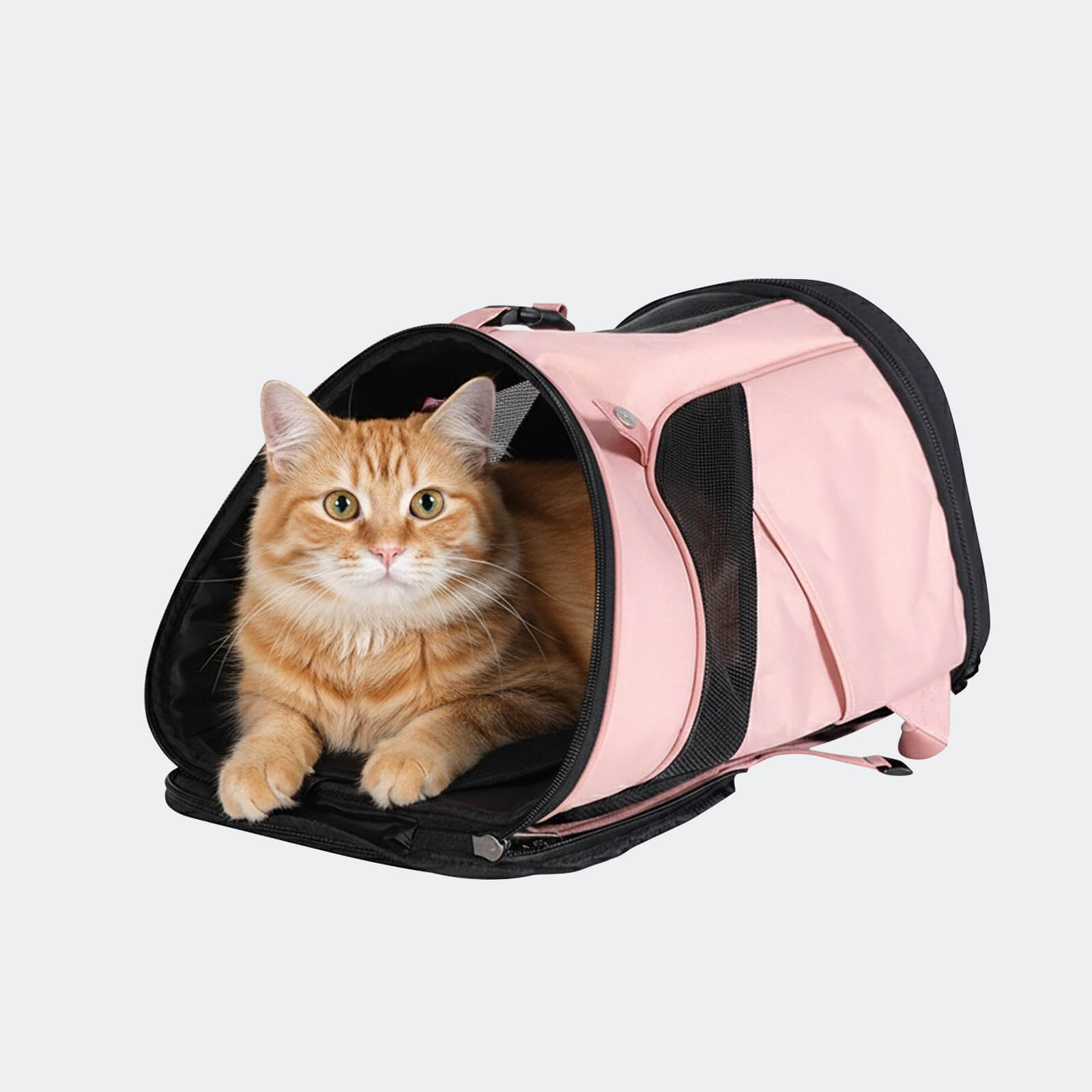 Ultralight Pro Pet Backpack Carrier, Front-Facing Cat-Dog Travel Bag