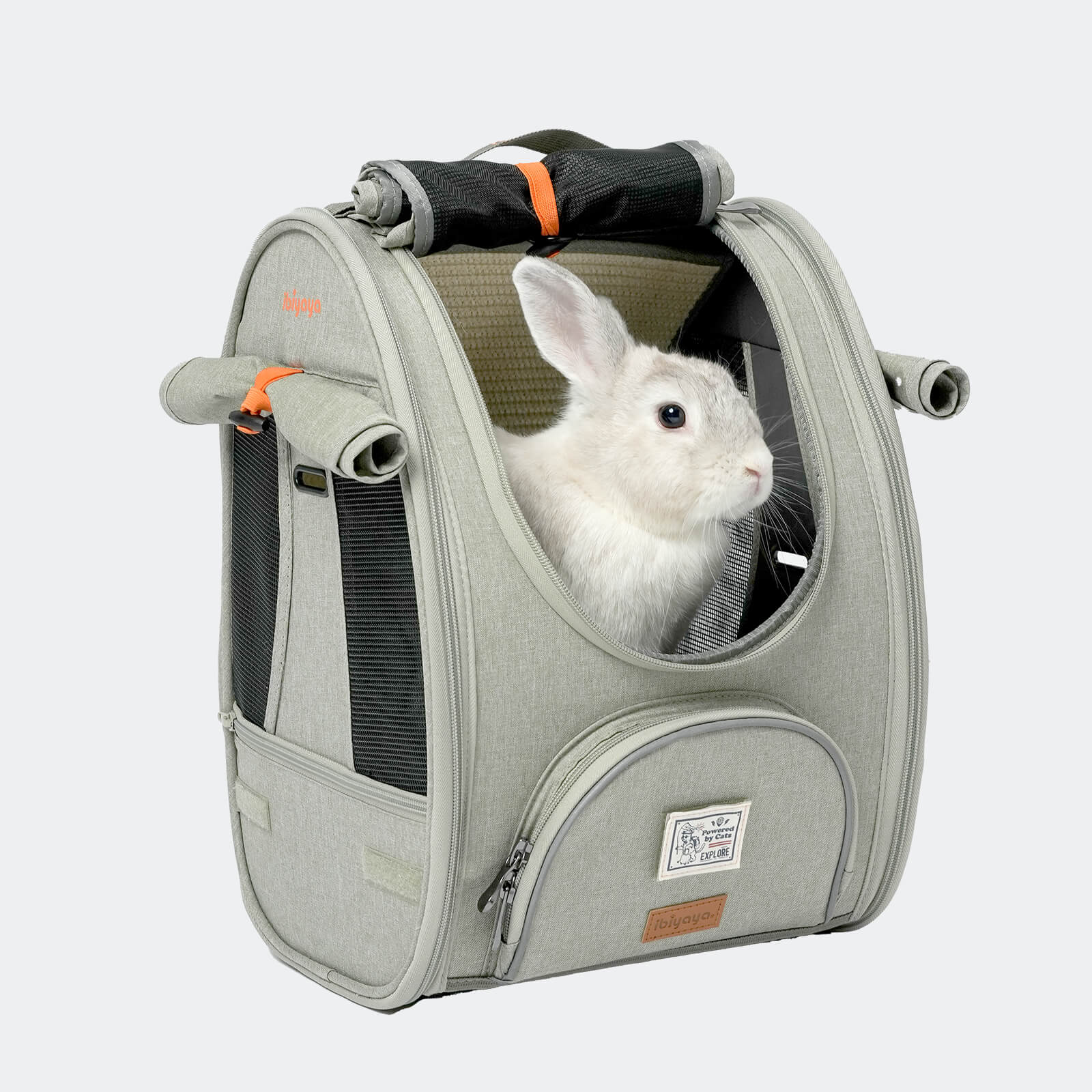 Adventure Cat Carrier Backpack and Frontpack